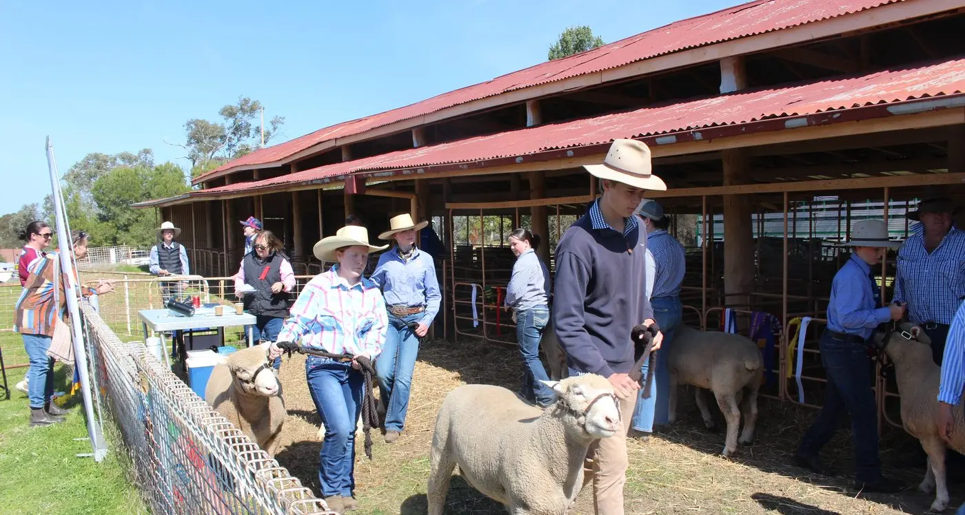 Huge weekend out at Grenfell Show