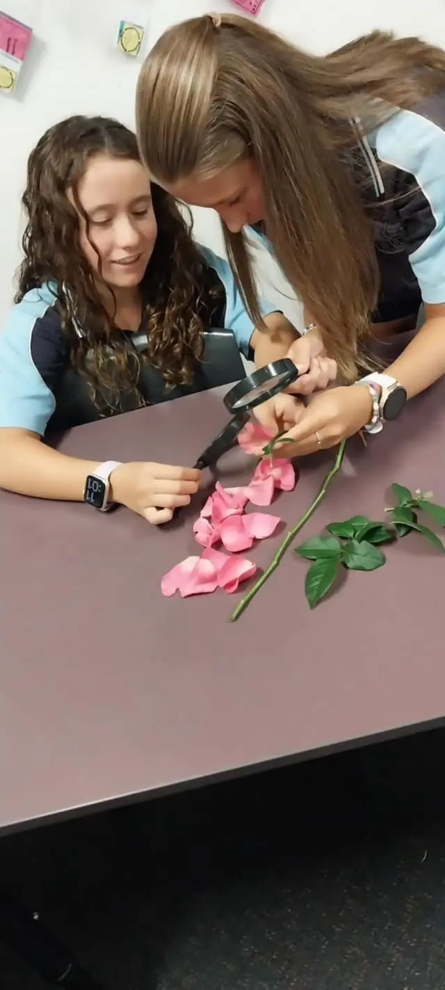 Layla White and Penny Martin inspect the roses under a magnifying glass. PHOTOS: Supplied