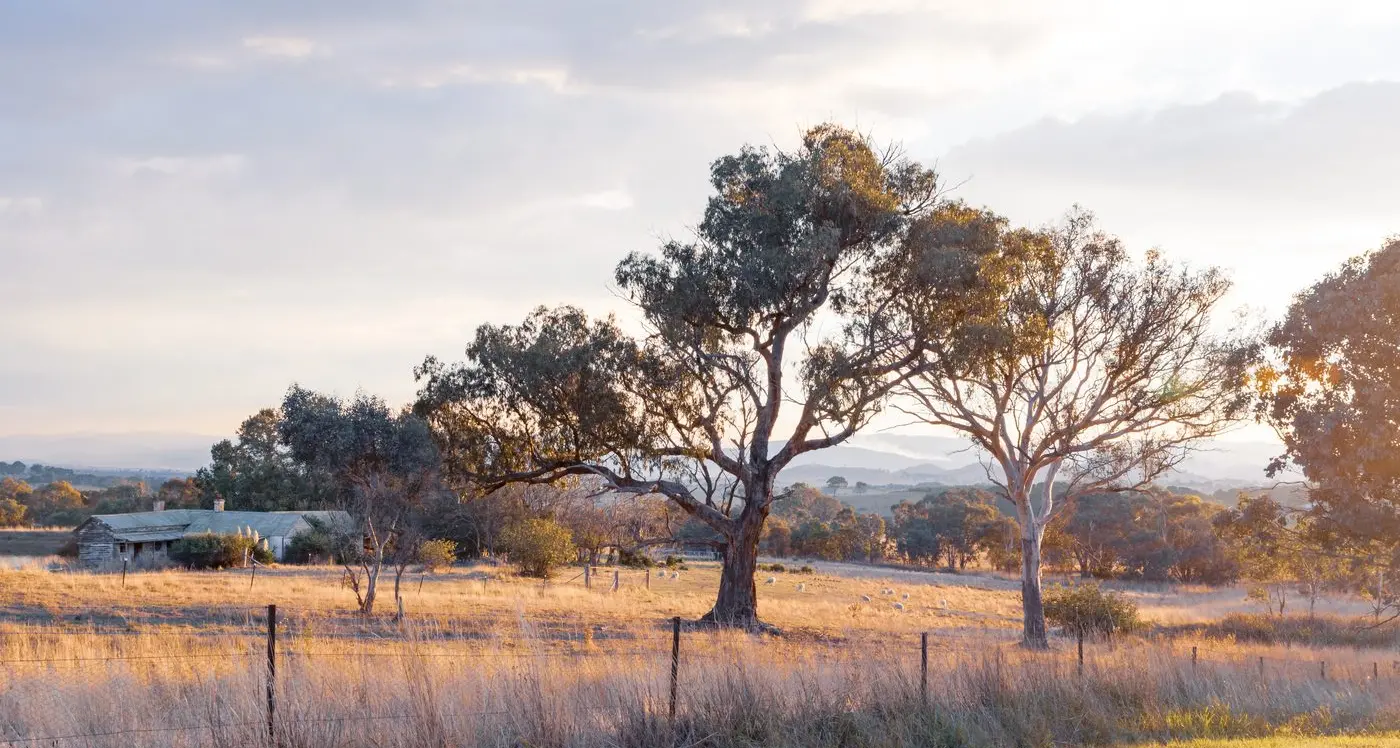 Inquiry into rural housing announced