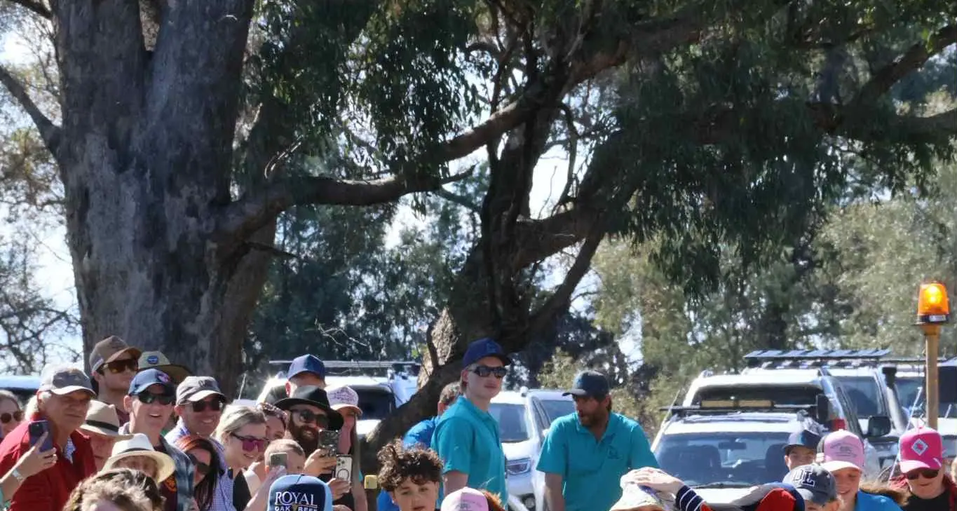 Large crowds arrive for Caragabal Sheep Races