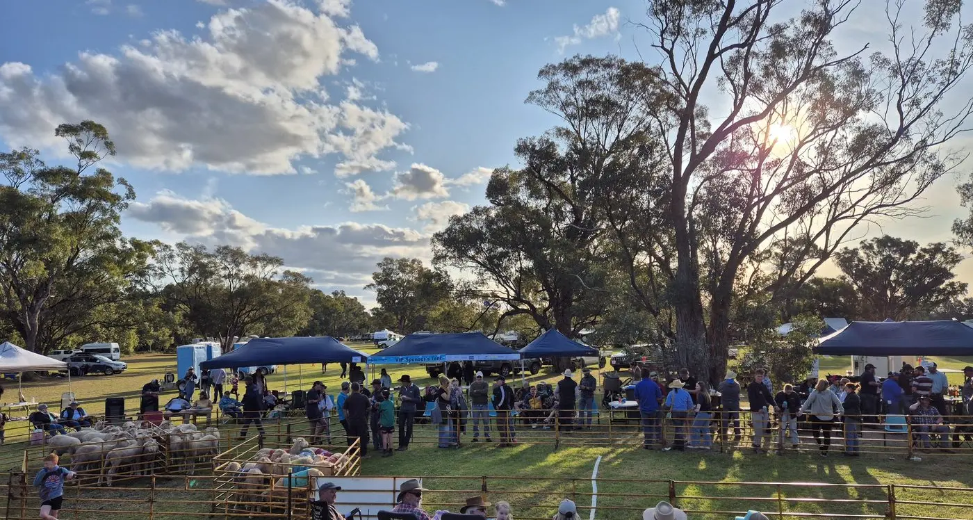 Sheep Races return to Caragabal