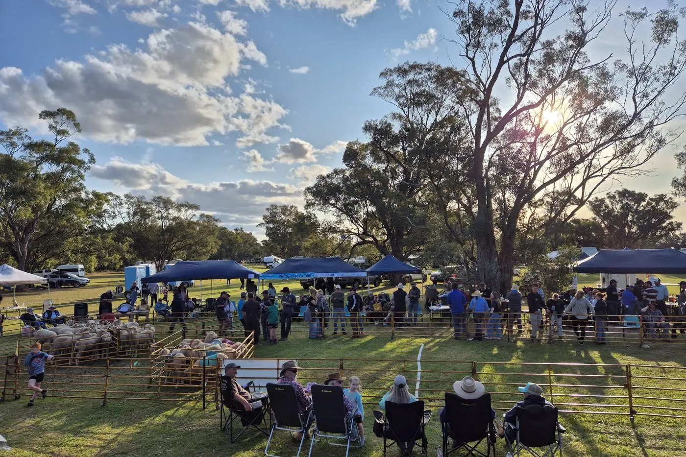 Get ready to race at the Caragabal Sheep Races. Image supplied.