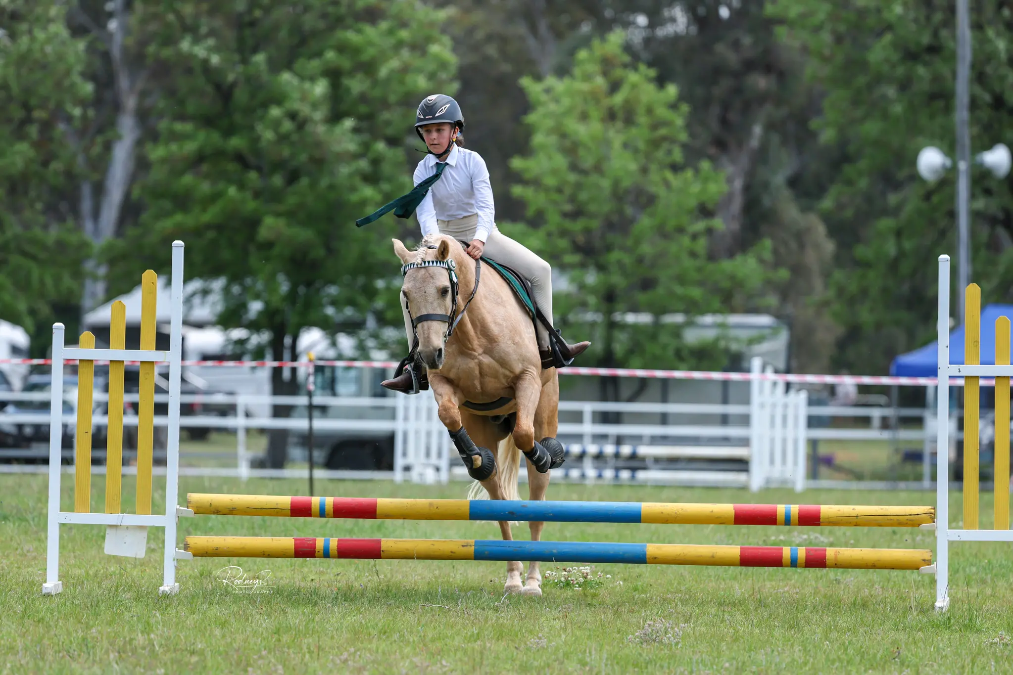 <p>Adelaide Conron won the U13s PANSW State Showjumping Champs. PHOTO: Rodney\\'s Photography.</p>\\n