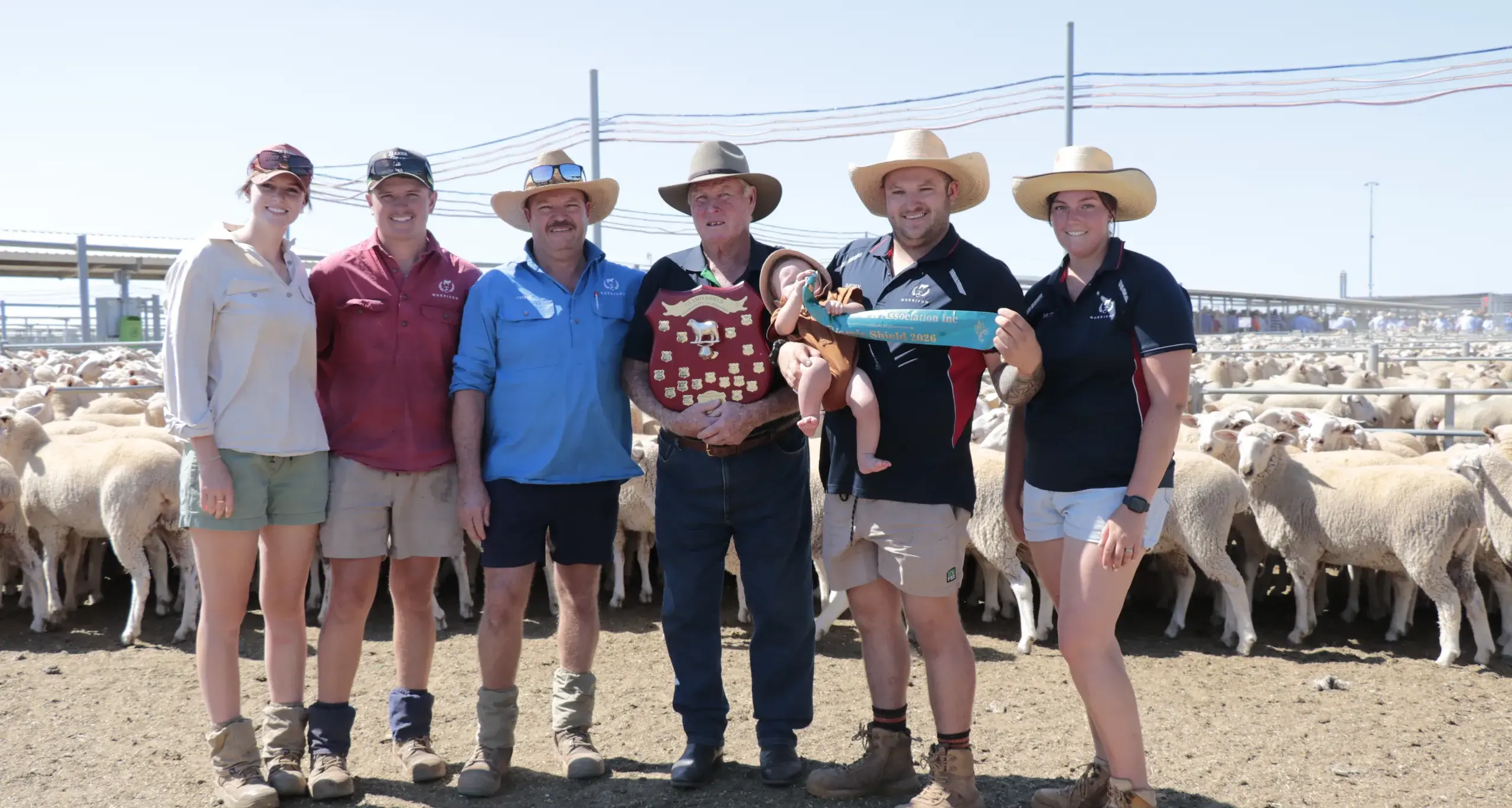 Morrisons' flock impresses at \"solid\" first cross ewe sale