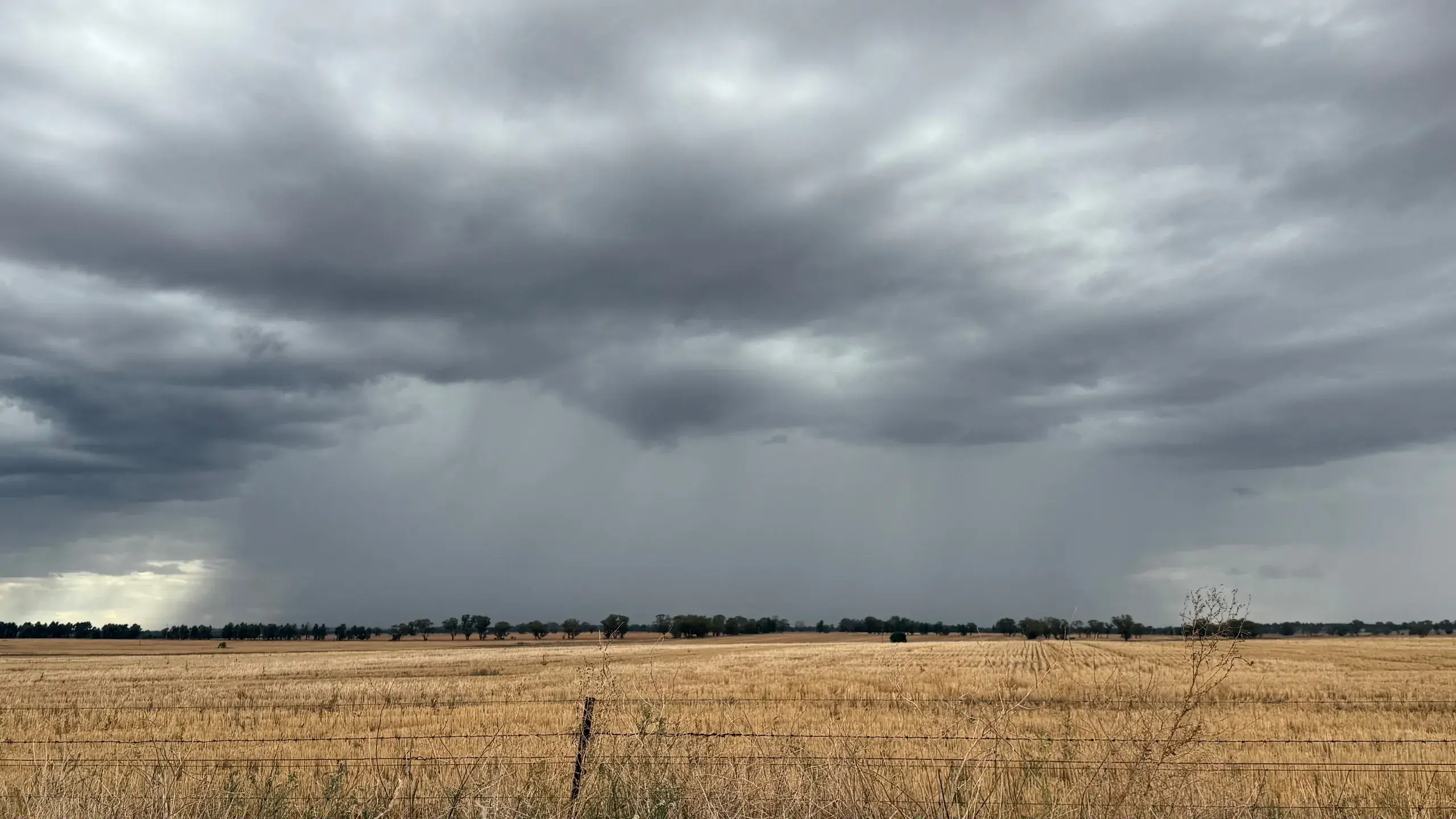 Timing was everything in dry 2025