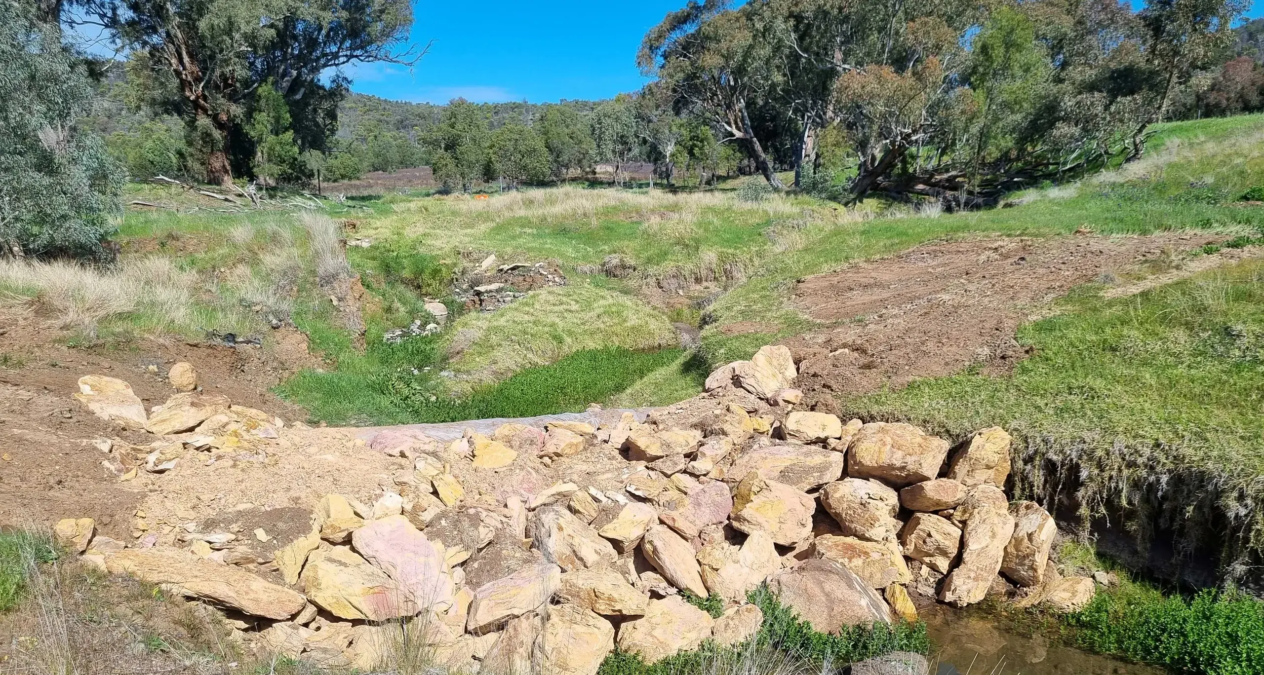 Opportunities abound through the Over the Fence project