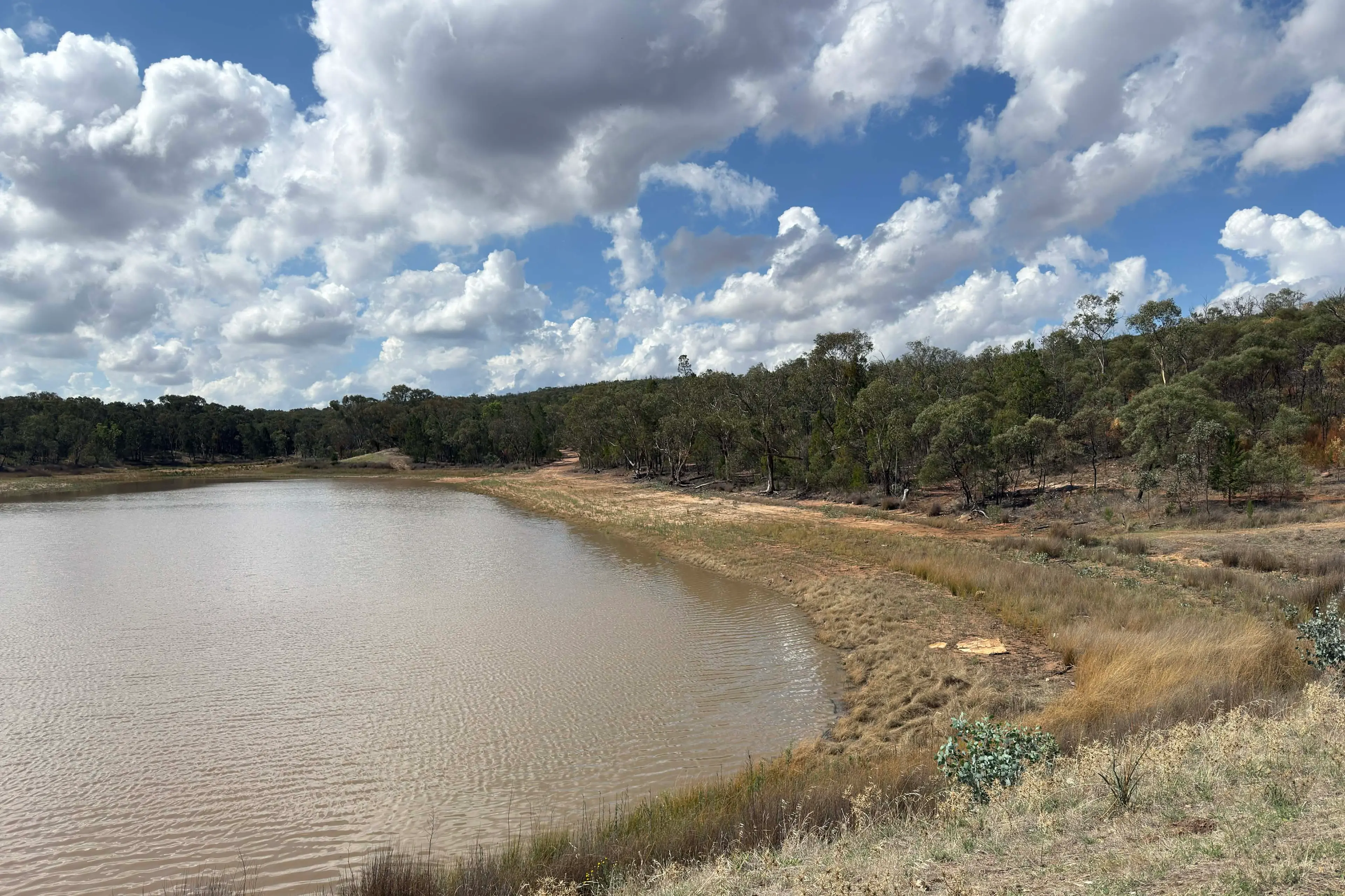 <p>The Company Dam had a little top up from the rain on Tuesday. PHOTO: Karen Gray</p>\\n