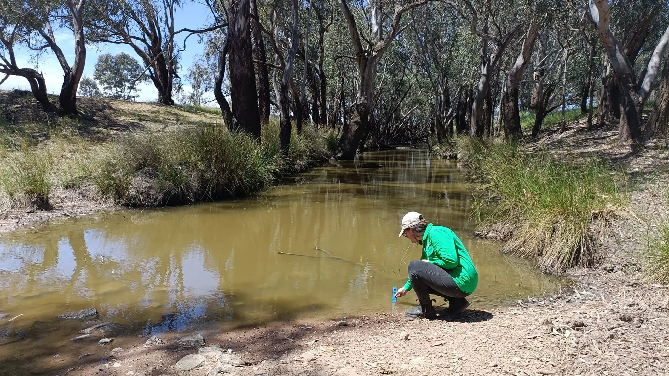 Weddin Landcare shares findings from salinity monitoring project