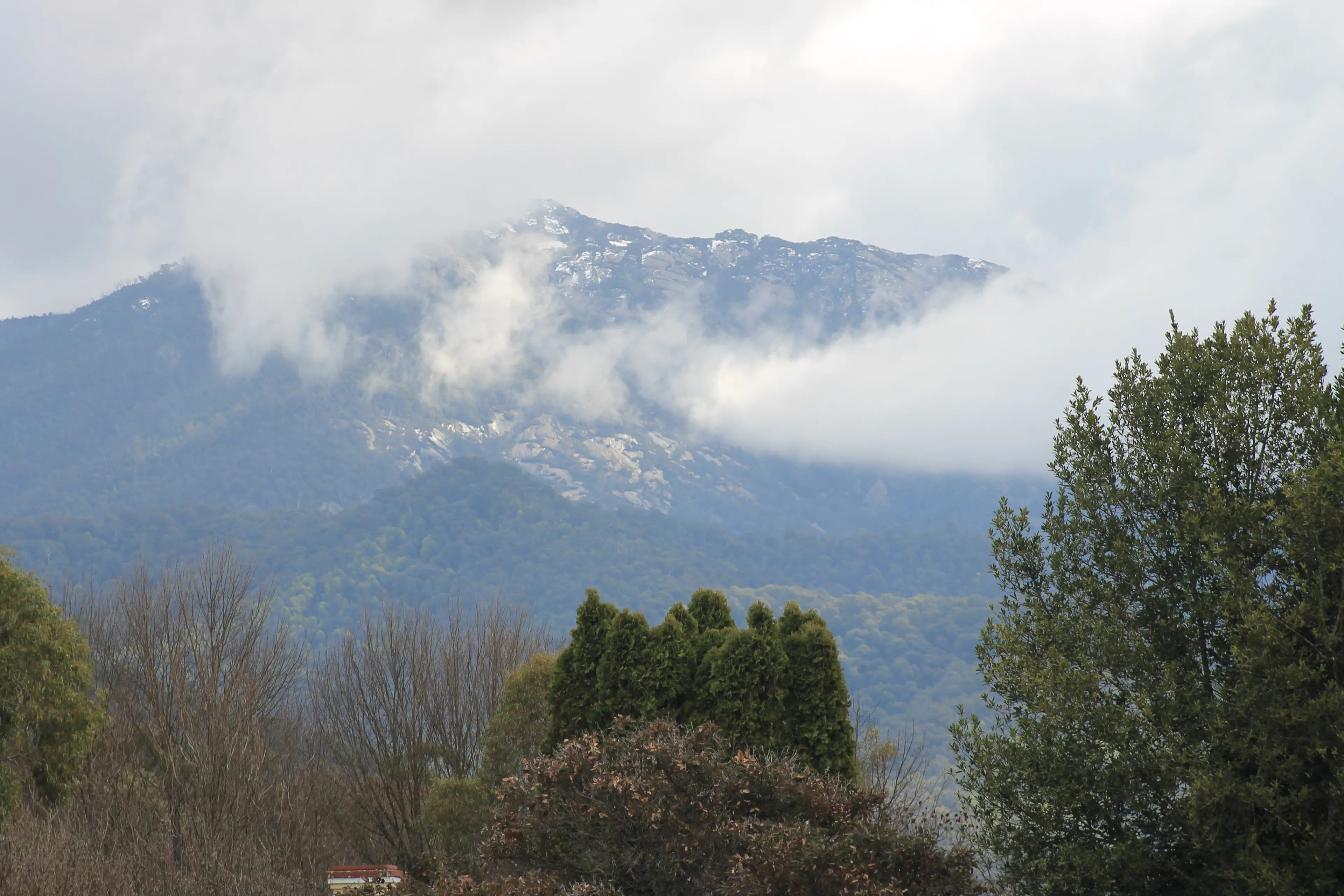 <p>SEARCH CONCLUDED: Dezi Freeman was believed to have been shot dead by police about 150km from where he was last seen in Porepunkah.</p>\\n