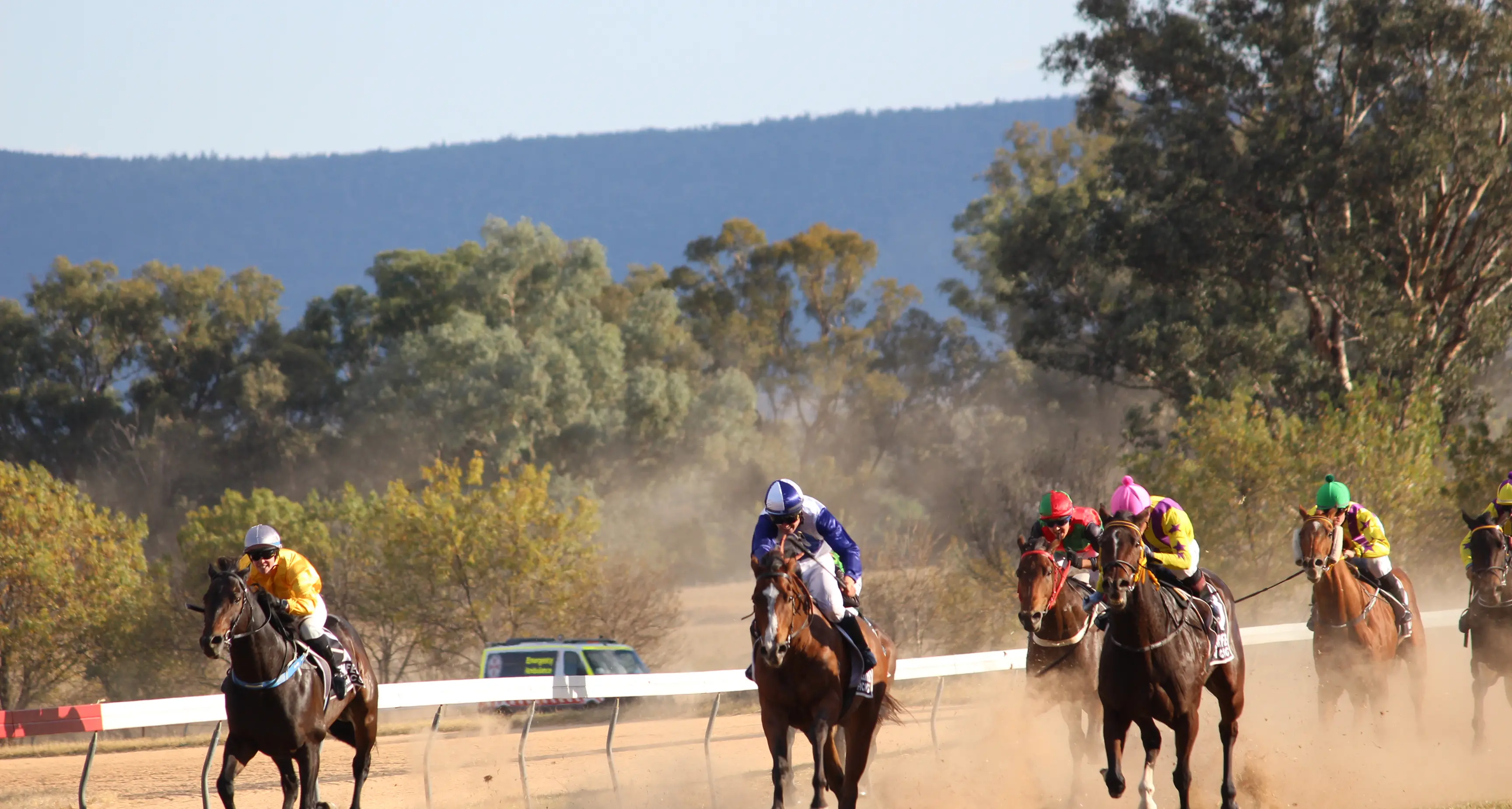 Excitement builds ahead of Grenfell Picnic Races