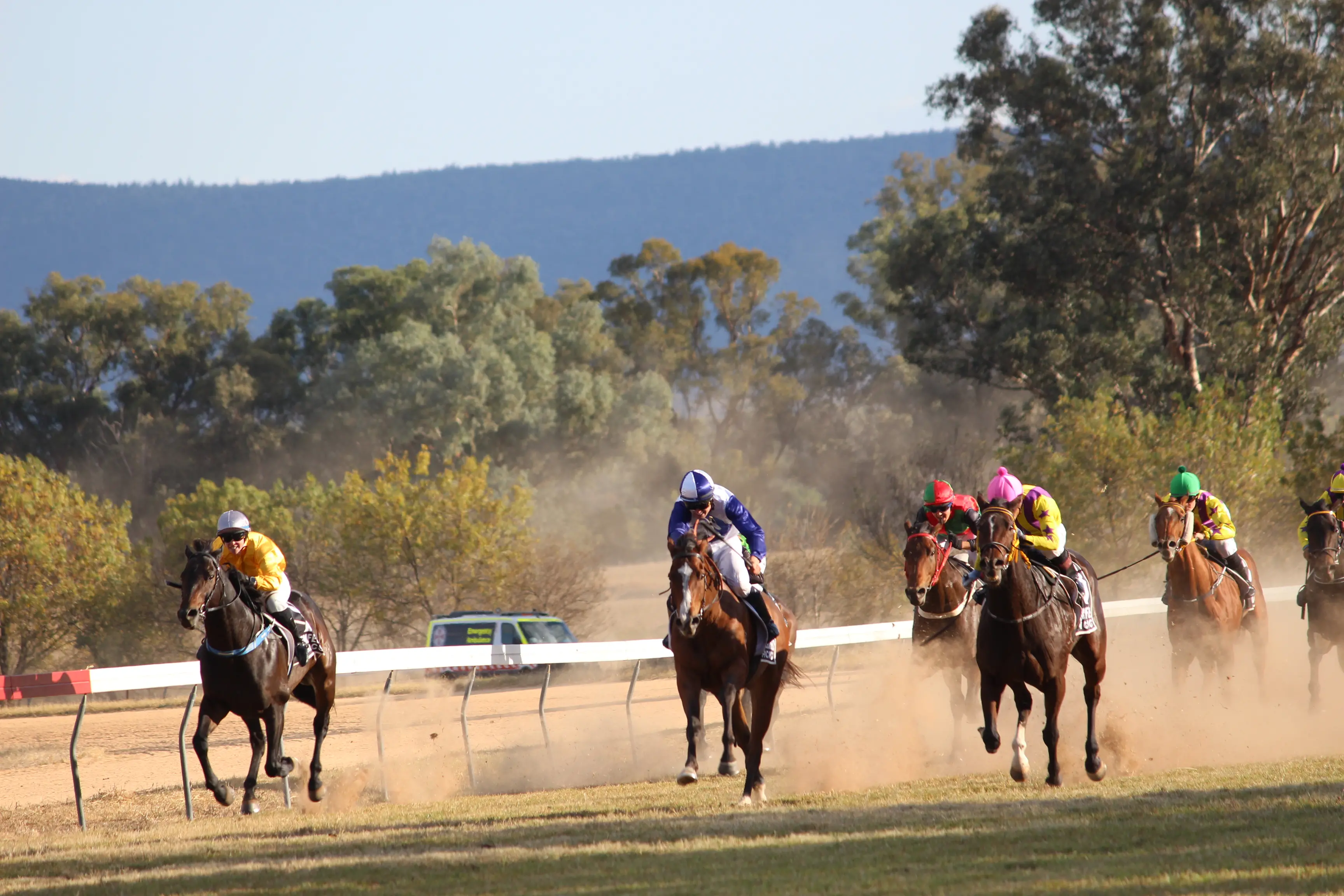 <p>The $10,000 Grenfell Picnic Cup will be on track at 3.15pm. PHOTO: Brendan McCool</p>\\n