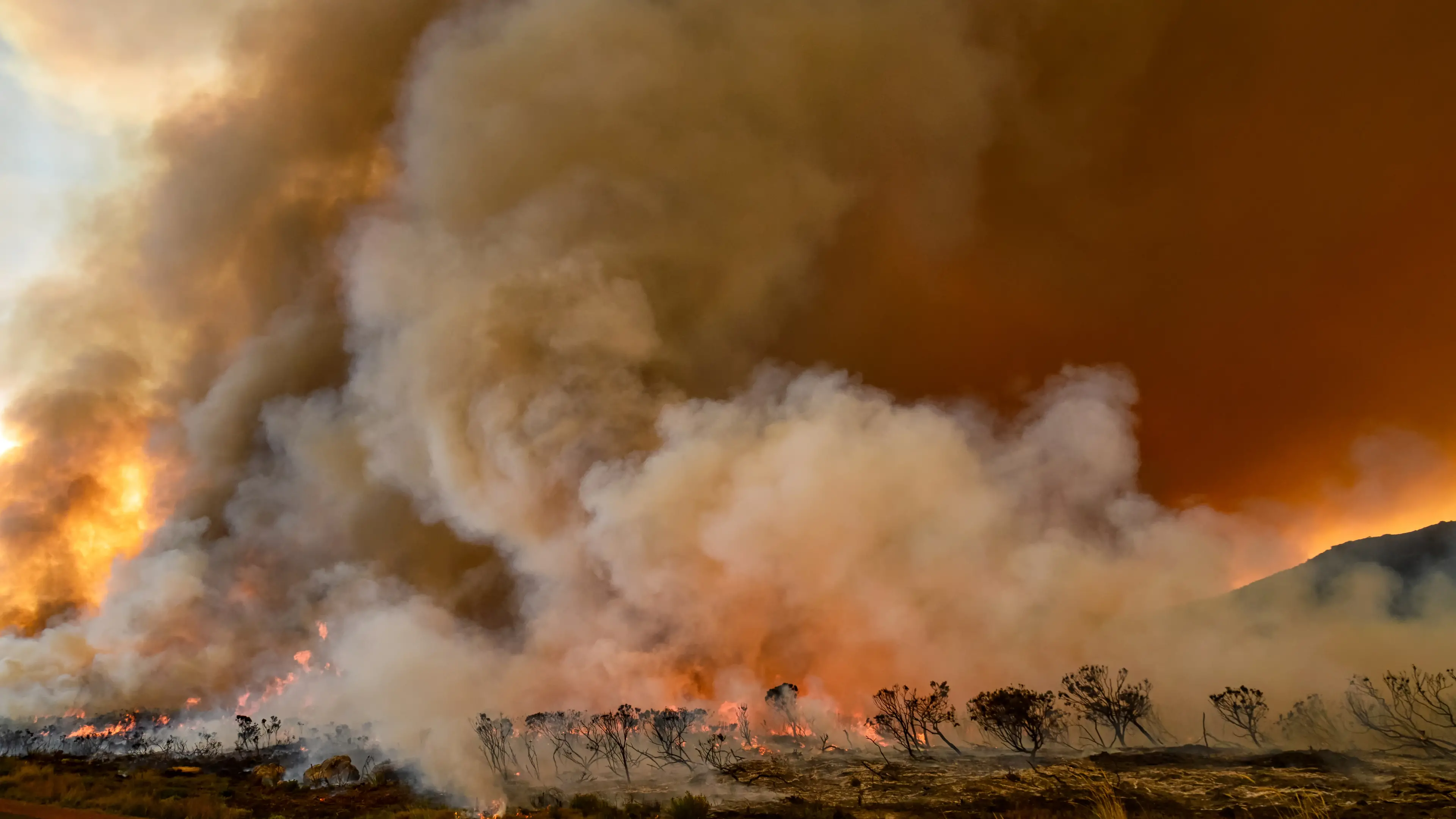 Bush fire danger period comes to a close