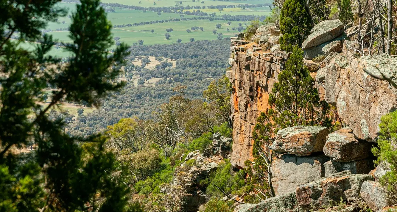 Bertha's Gully walking tracked closed until February 2027