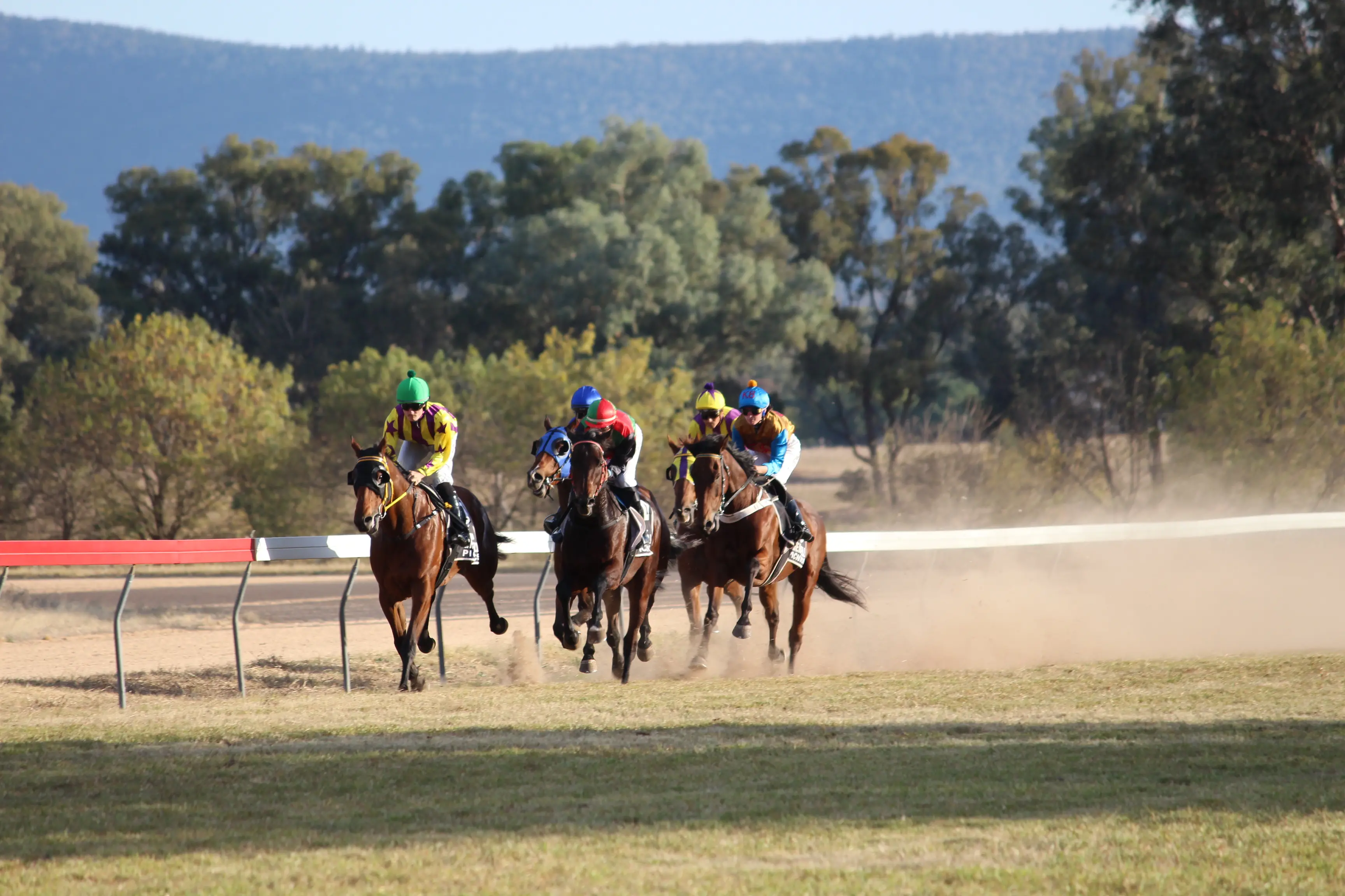 <p>Racing is back at the Grenfell Racecourse this Saturday for the Grenfell Picnic Races. PHOTO: Brendan McCool.</p>\\n