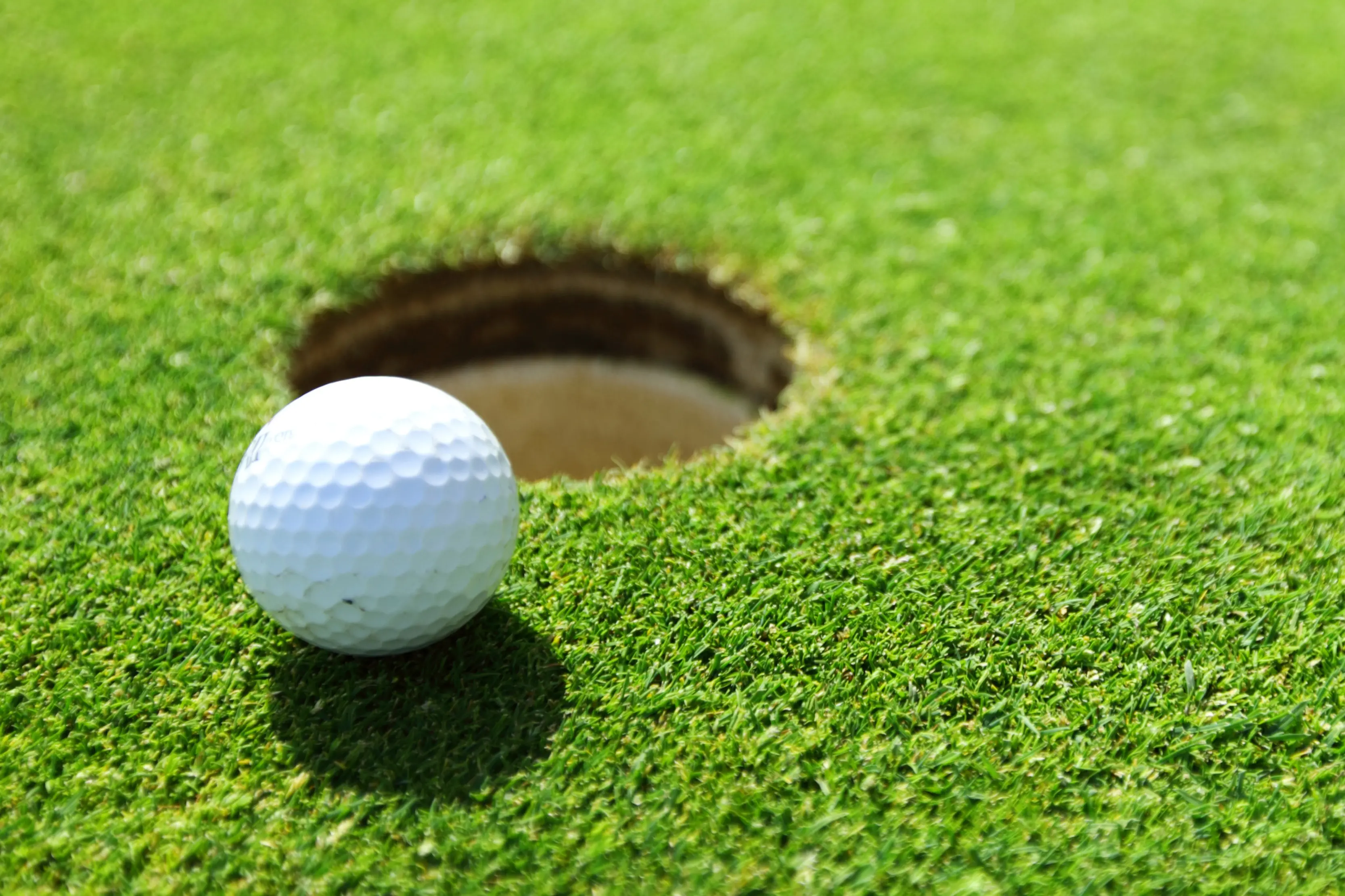 <p>The ultimate winner of the Phillipa Baker Trophy was Maria Neill. PHOTO: AdobeStock/Yellowj</p>\\n