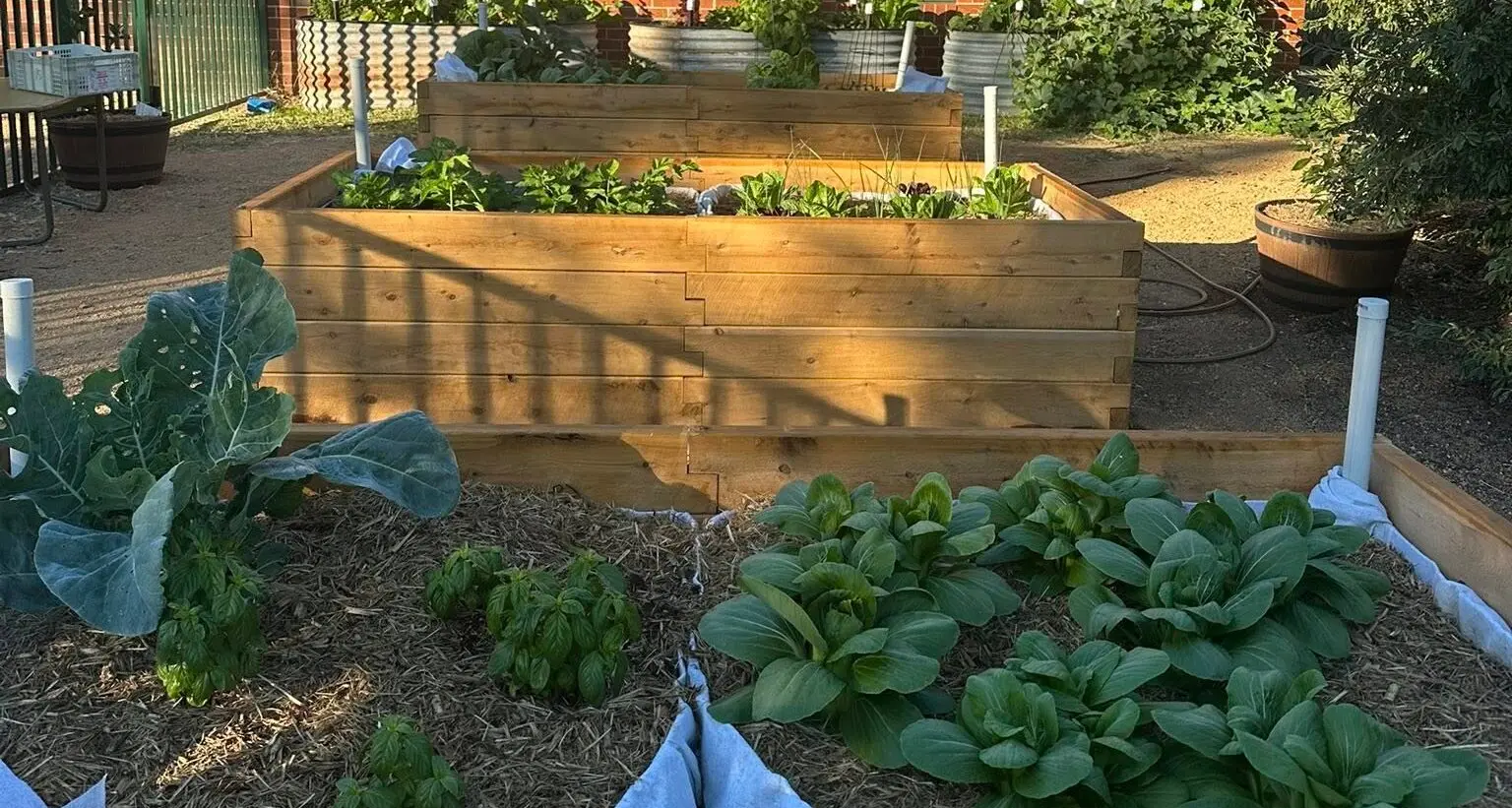 Garden gates open for edible garden tour