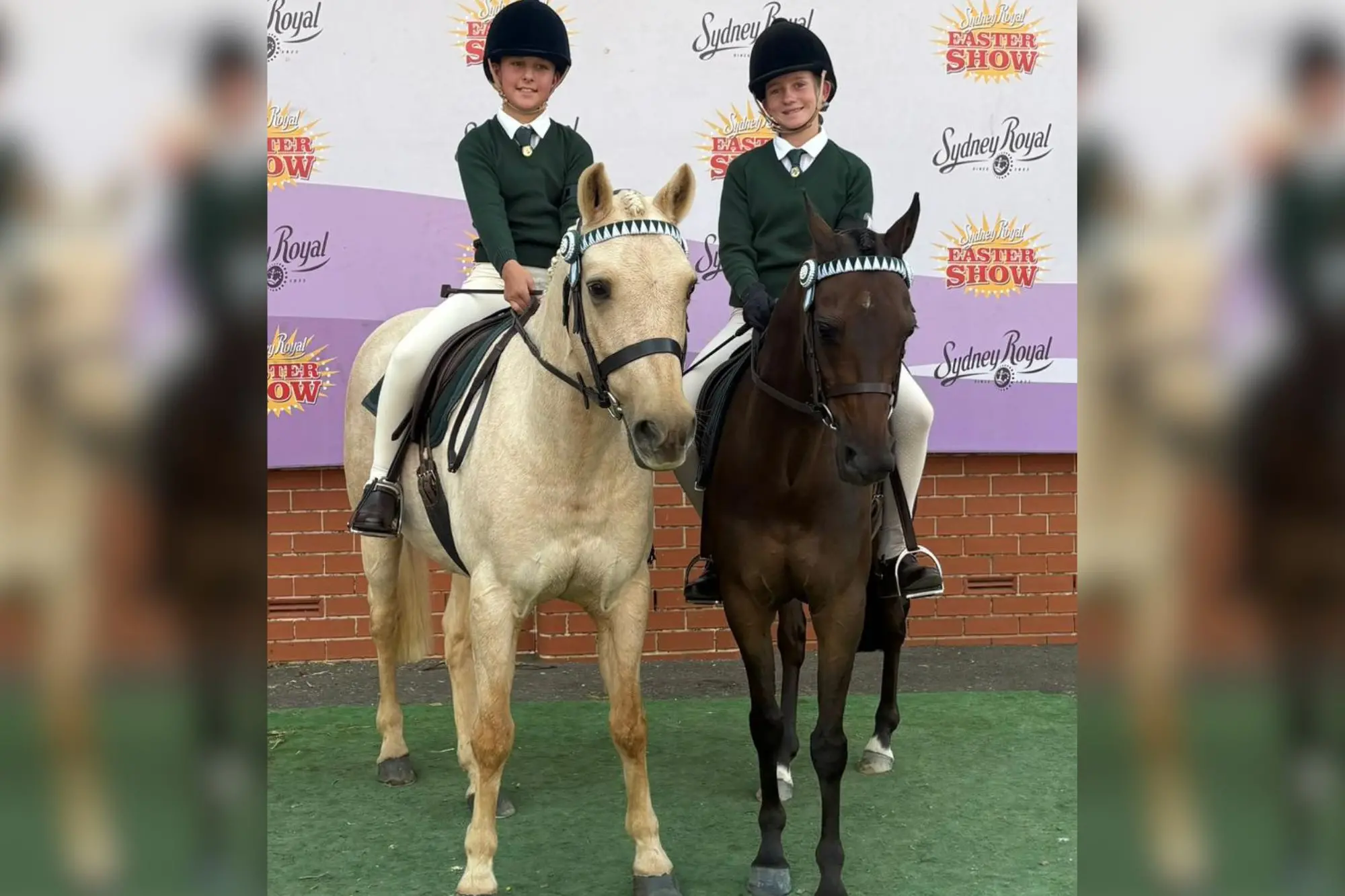 <p>Adelaide on Nulla and Ava on Biscuits at the Sydney Royal.</p>\\n