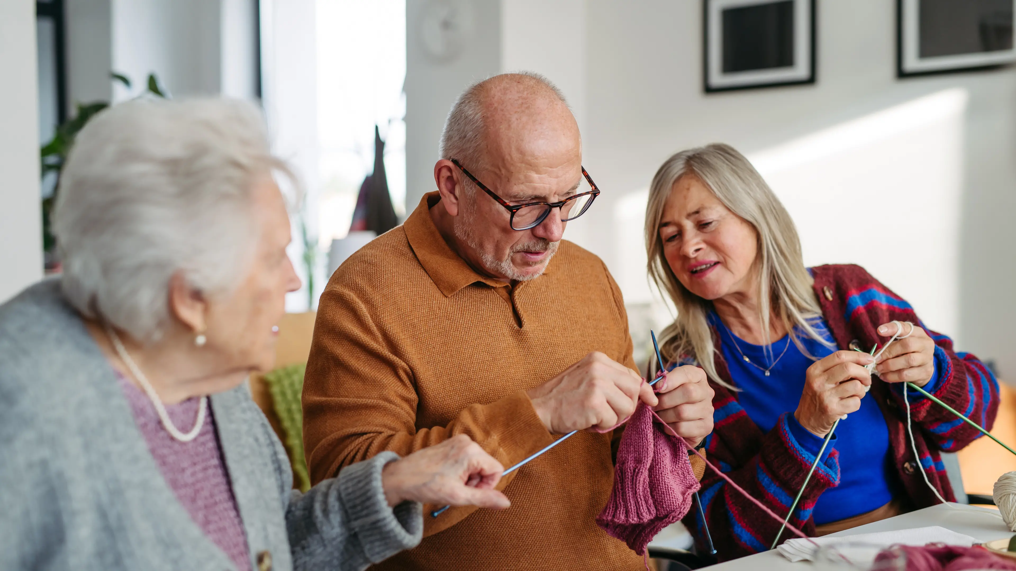 Applications open to celebrate NSW carers