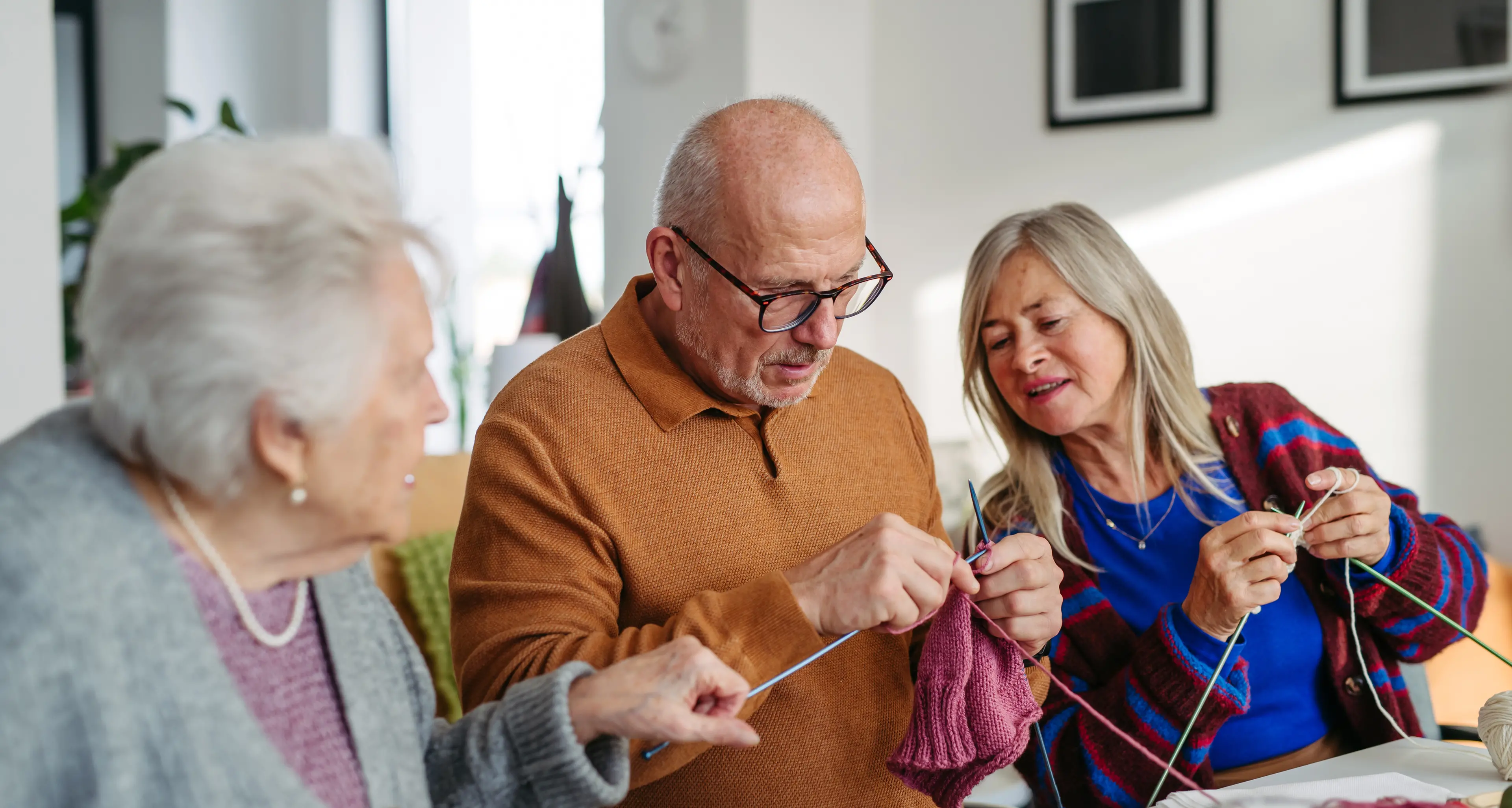 Applications open to celebrate NSW carers