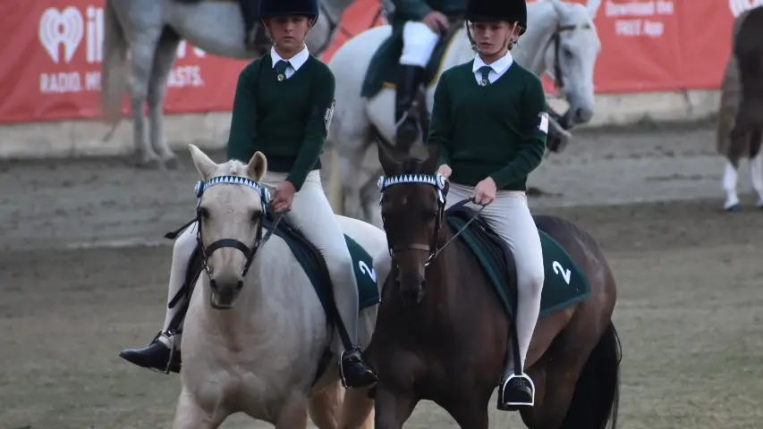 Pony Club funding boost for showjumping future