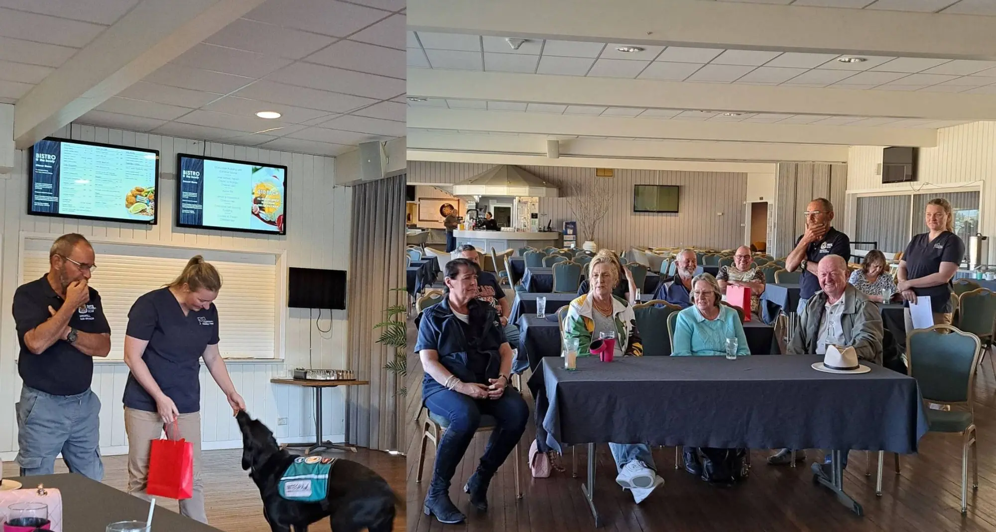 Pet owners learn life-saving first aid skills