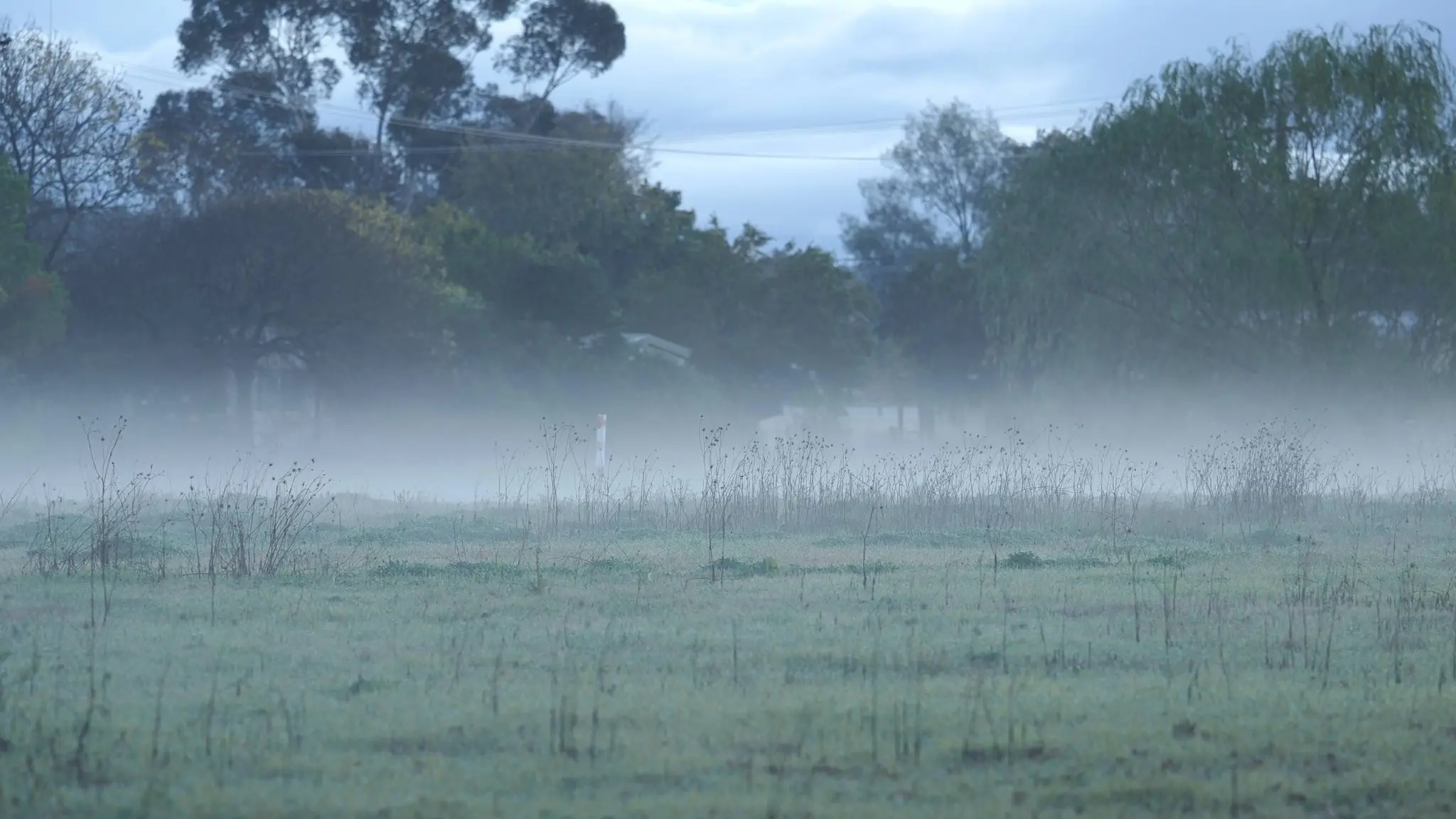 Much needed rain revives shire