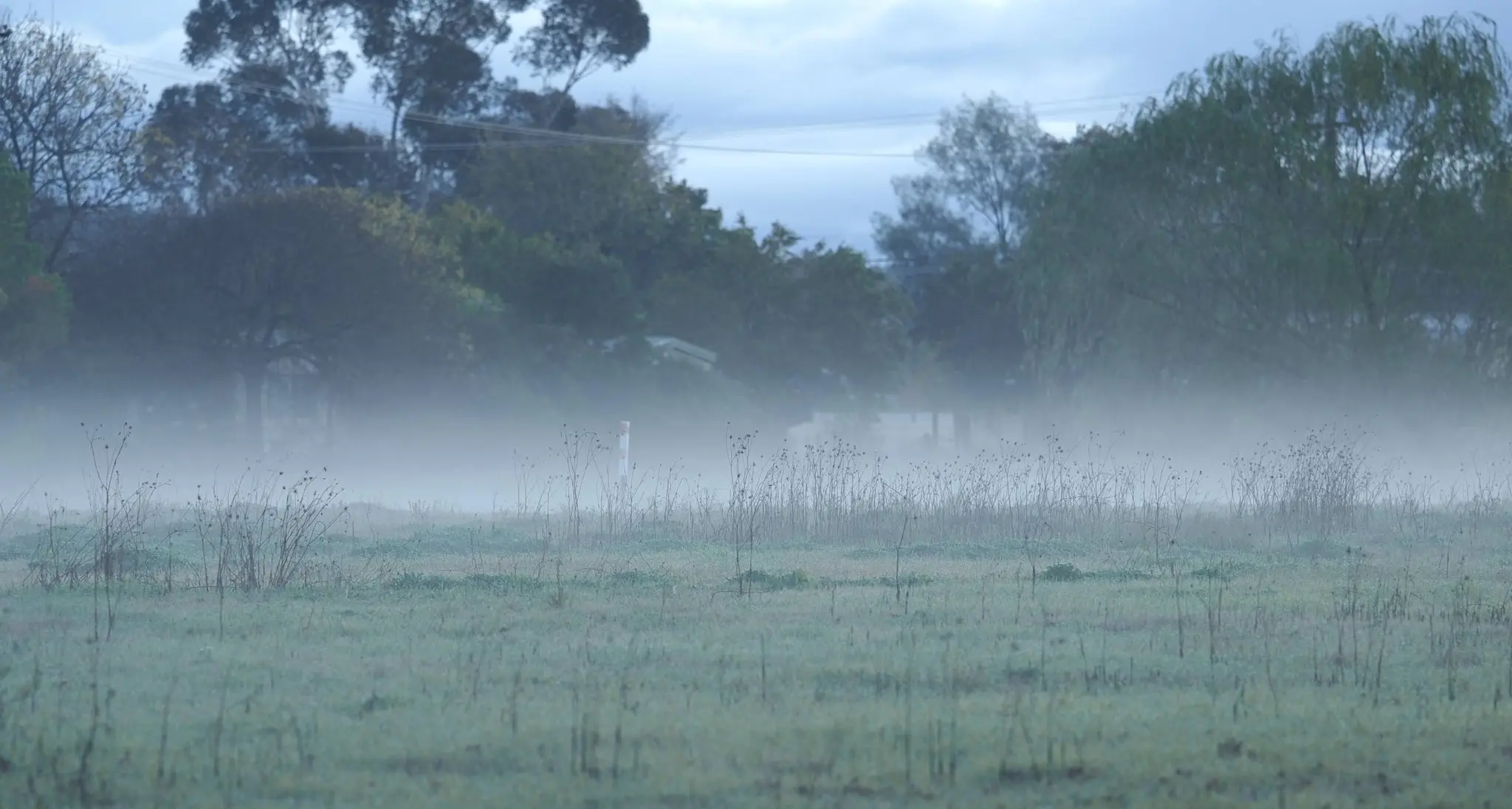 Much needed rain revives shire