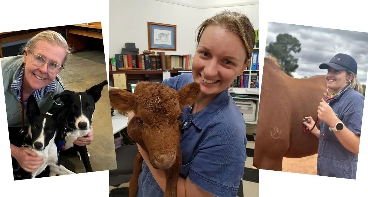 Get to know your local vet: Lachlan Valley Vets