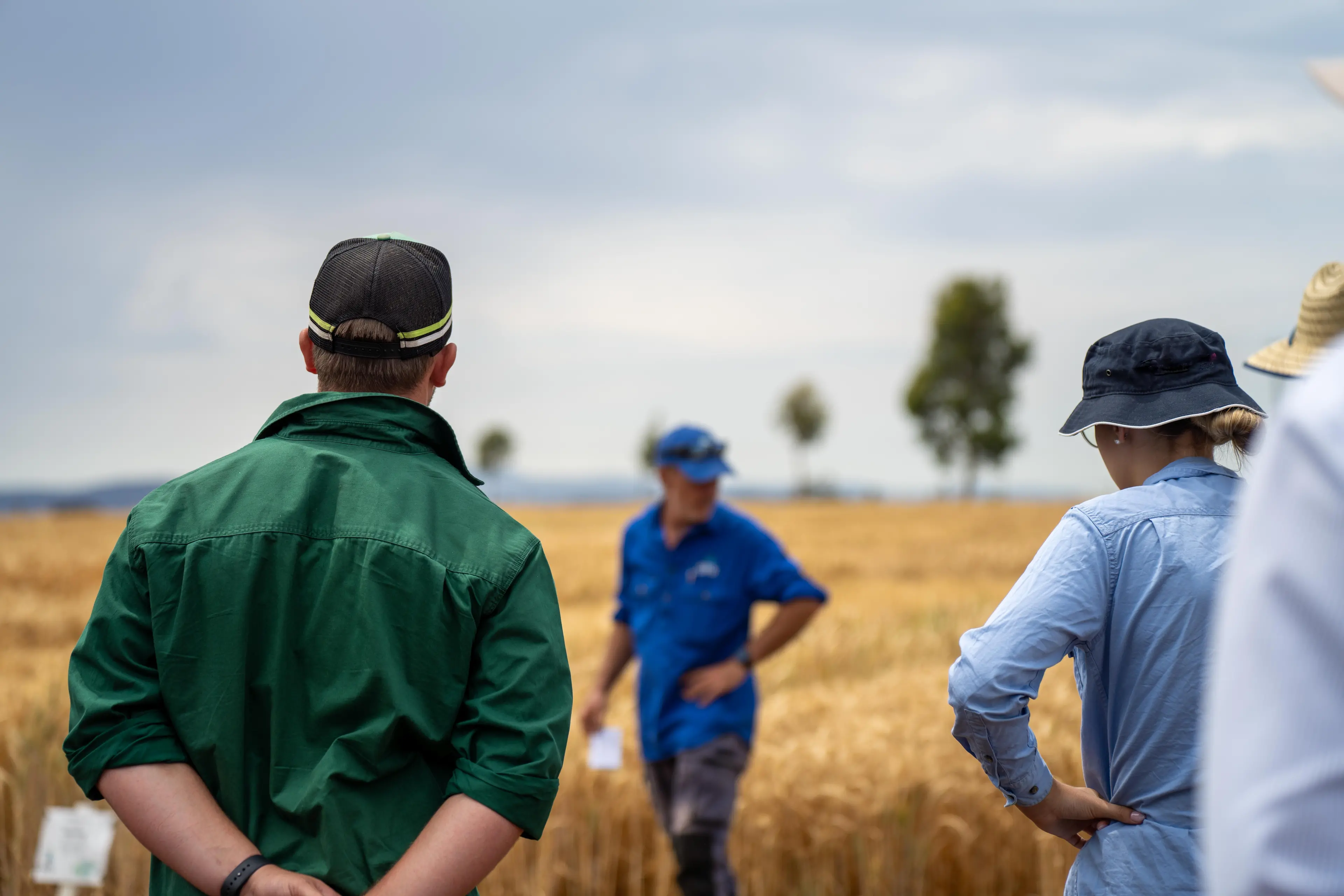 <p>In rural Australia, men encounter unique mental health challenges. PHOTO: AdobeStock/William</p>\\n