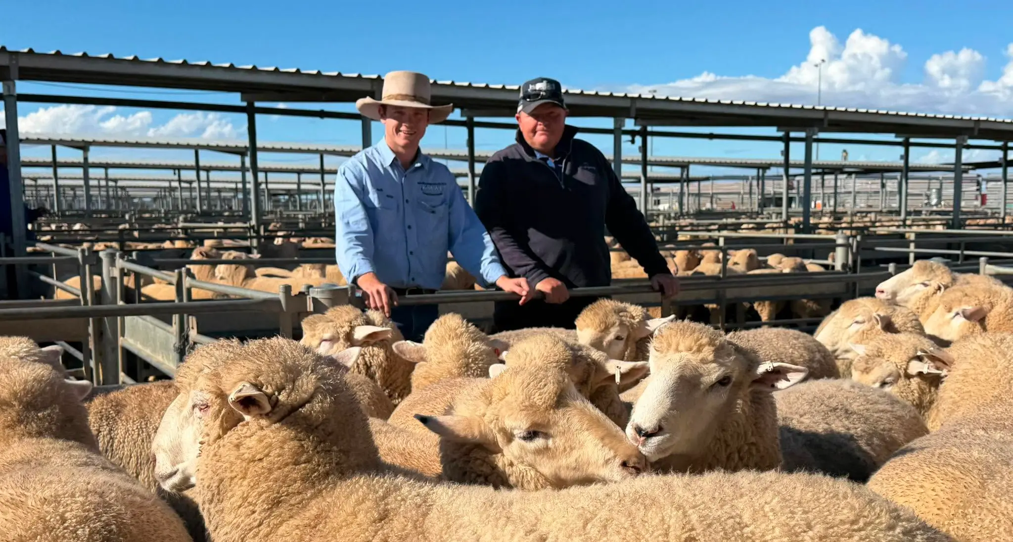 Koorawatha lambs fetch $480 a head at Forbes
