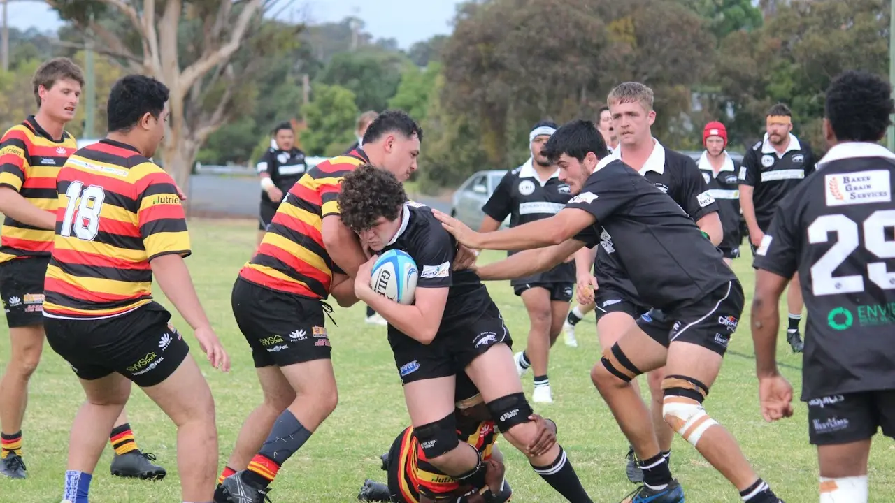 Depleted but determined as Panthers dig deep