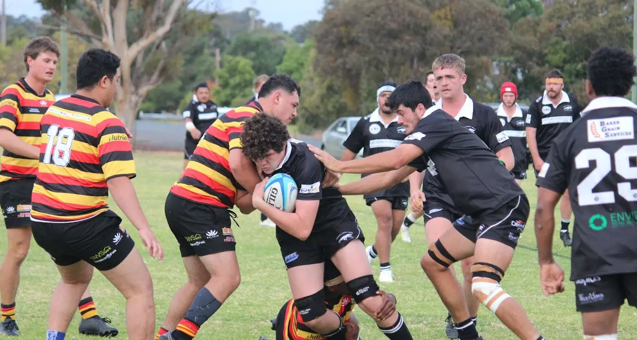Depleted but determined as Panthers dig deep