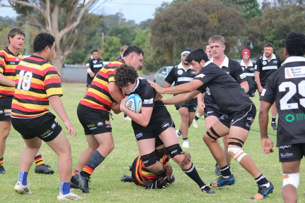 <p>The Panthers fell 69-nil to Cootamundra on Saturday. </p>\\n