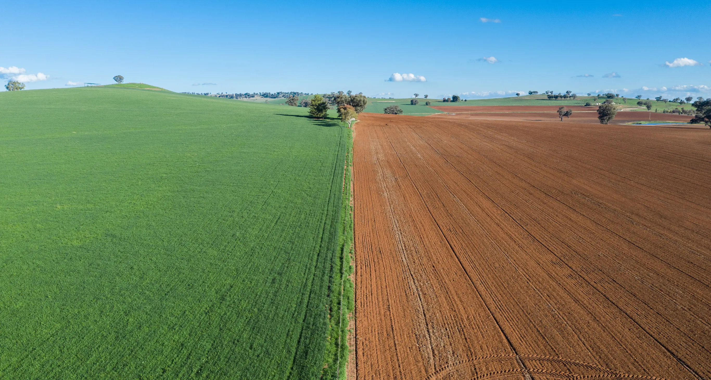 Farmland continues to outperform as investors turn their attention to regional NSW
