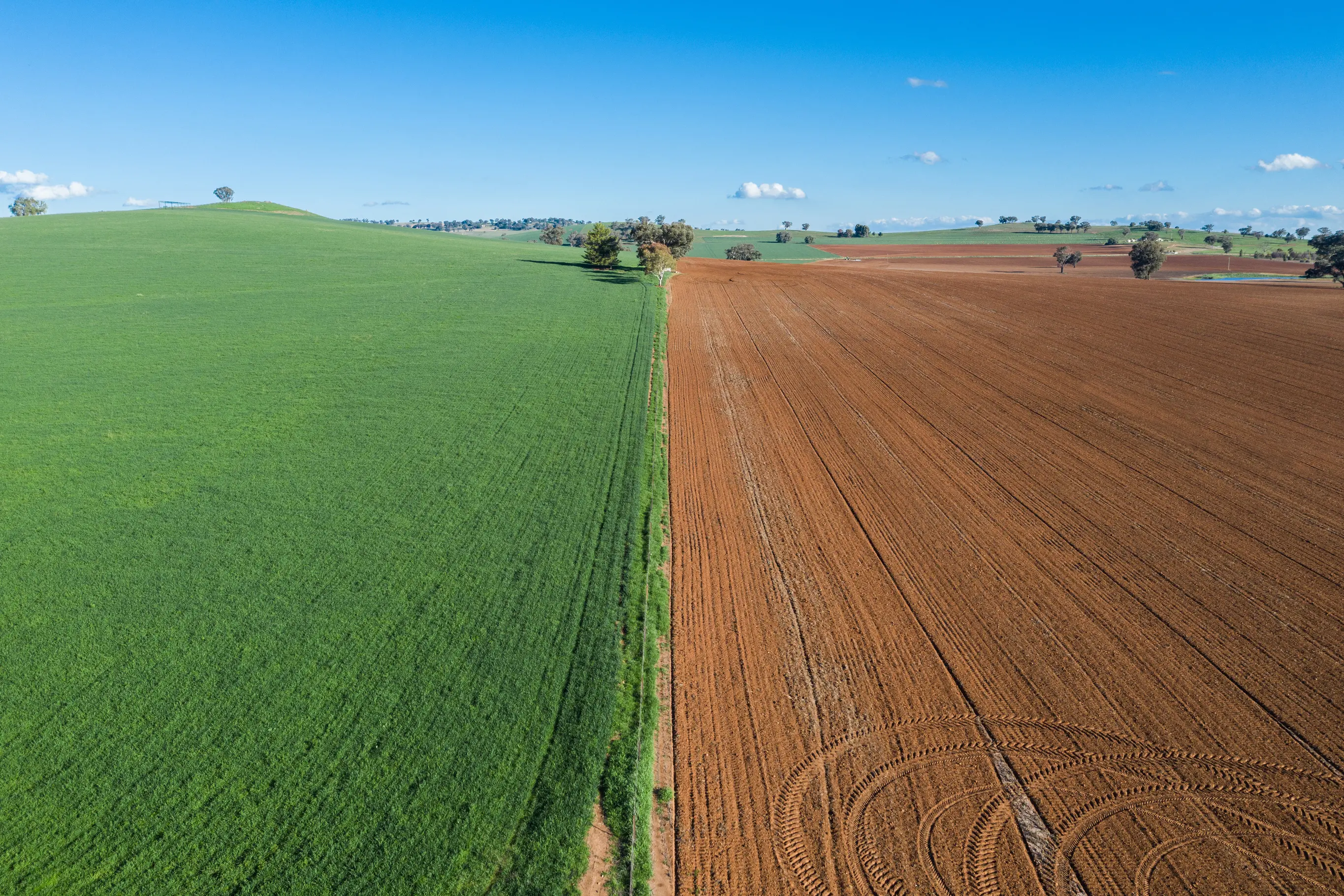 <p>Growing interest from investors is increasingly shifting towards agricultural land, driven by strong long term returns, favourable tax settings and multiple income opportunities. PHOTO: AdobeStock, by jayeasy</p>\\n