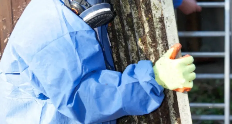 State unveils free asbestos collection trial