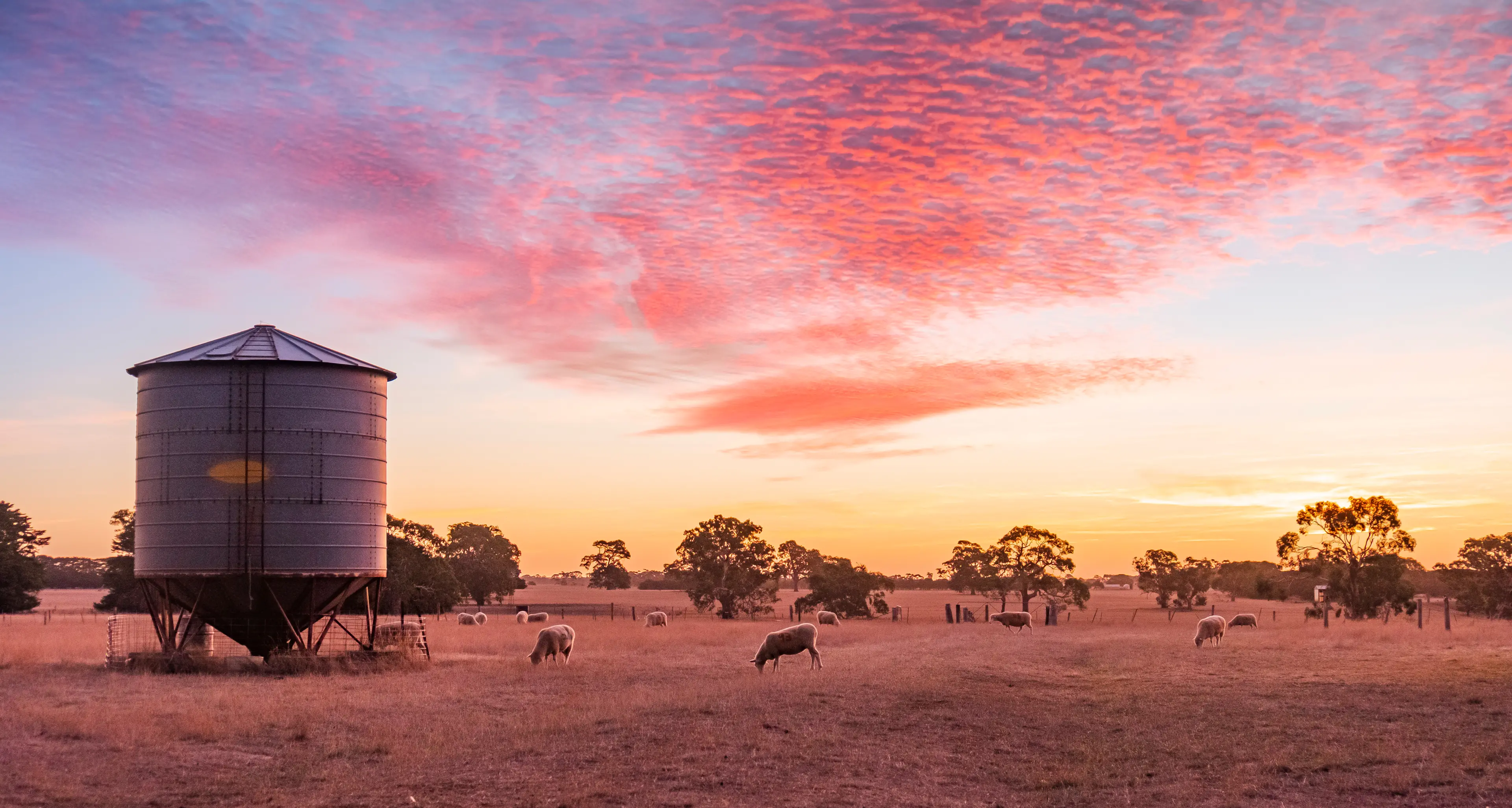 Farmers encouraged to take part in national agritourism survey