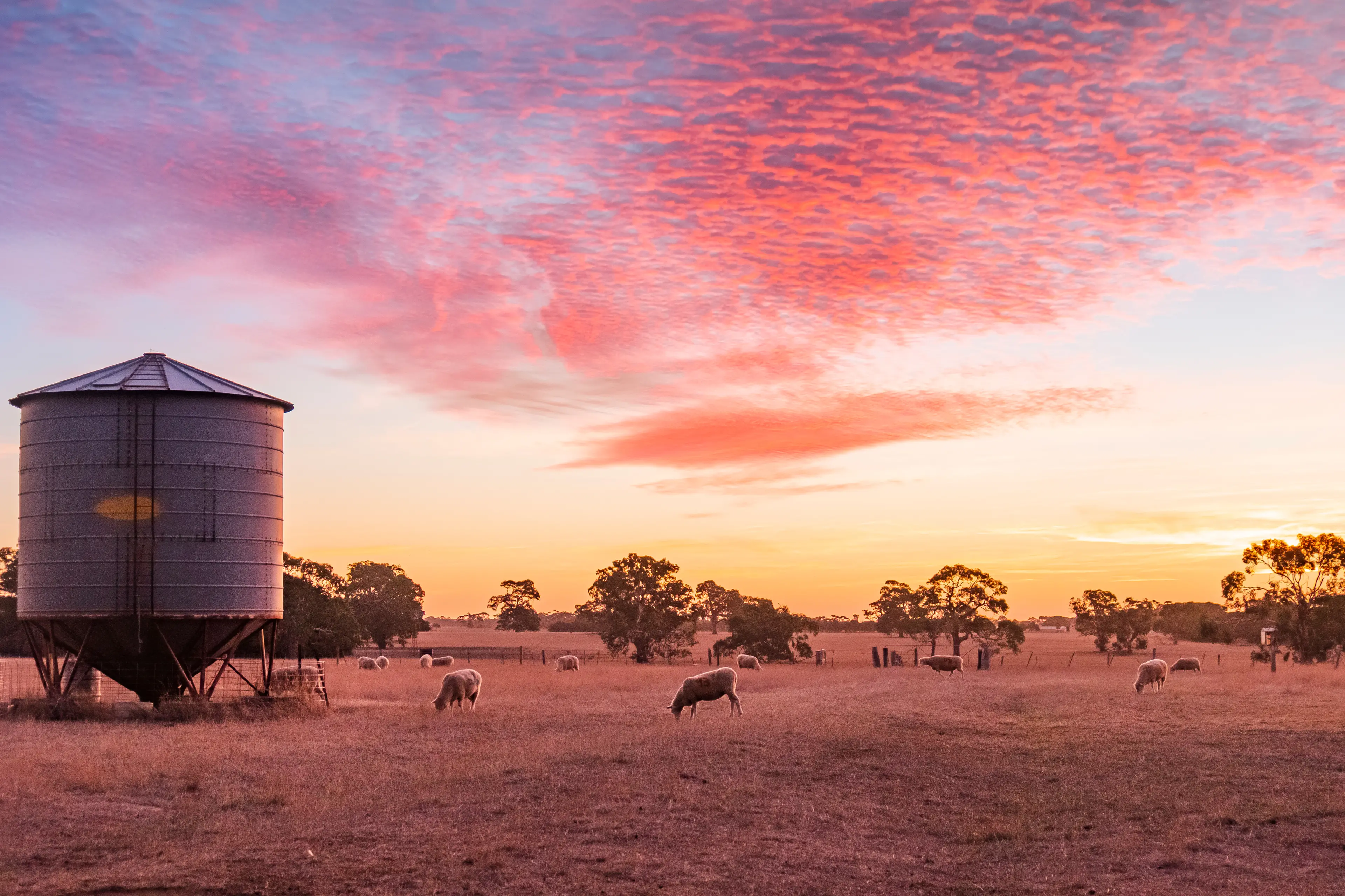 <p>New insights for Australian agritourism and landholders. PHOTO: AdobeStock/Hamish</p>\\n