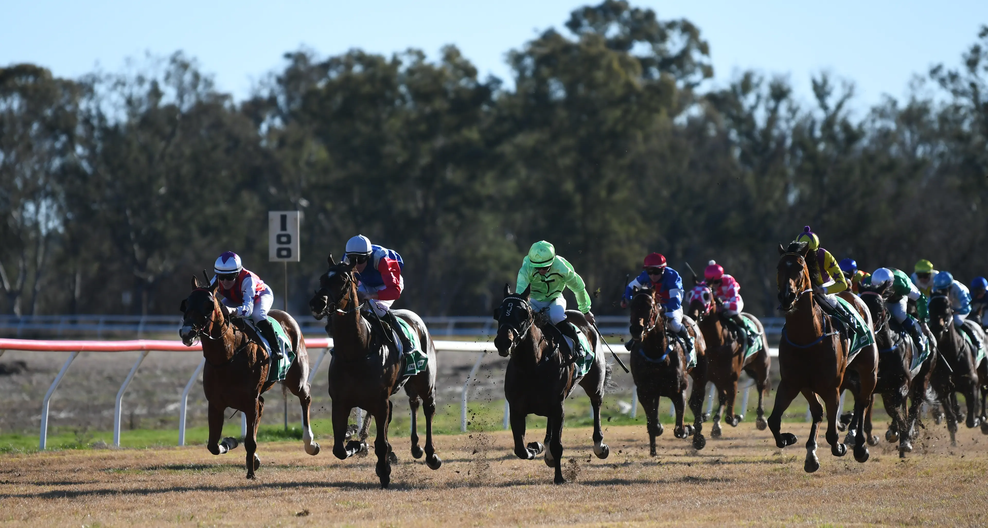 Ready to race: Forbes Cup returns this weekend