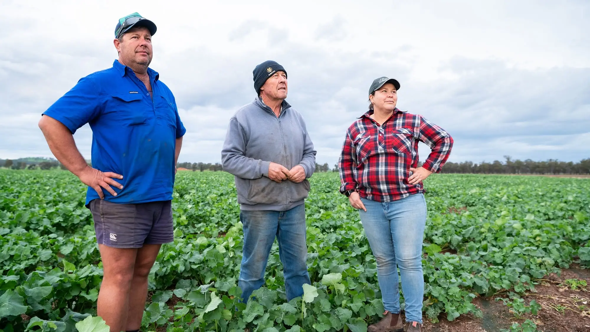 Cooper family next to tell their story over the fence
