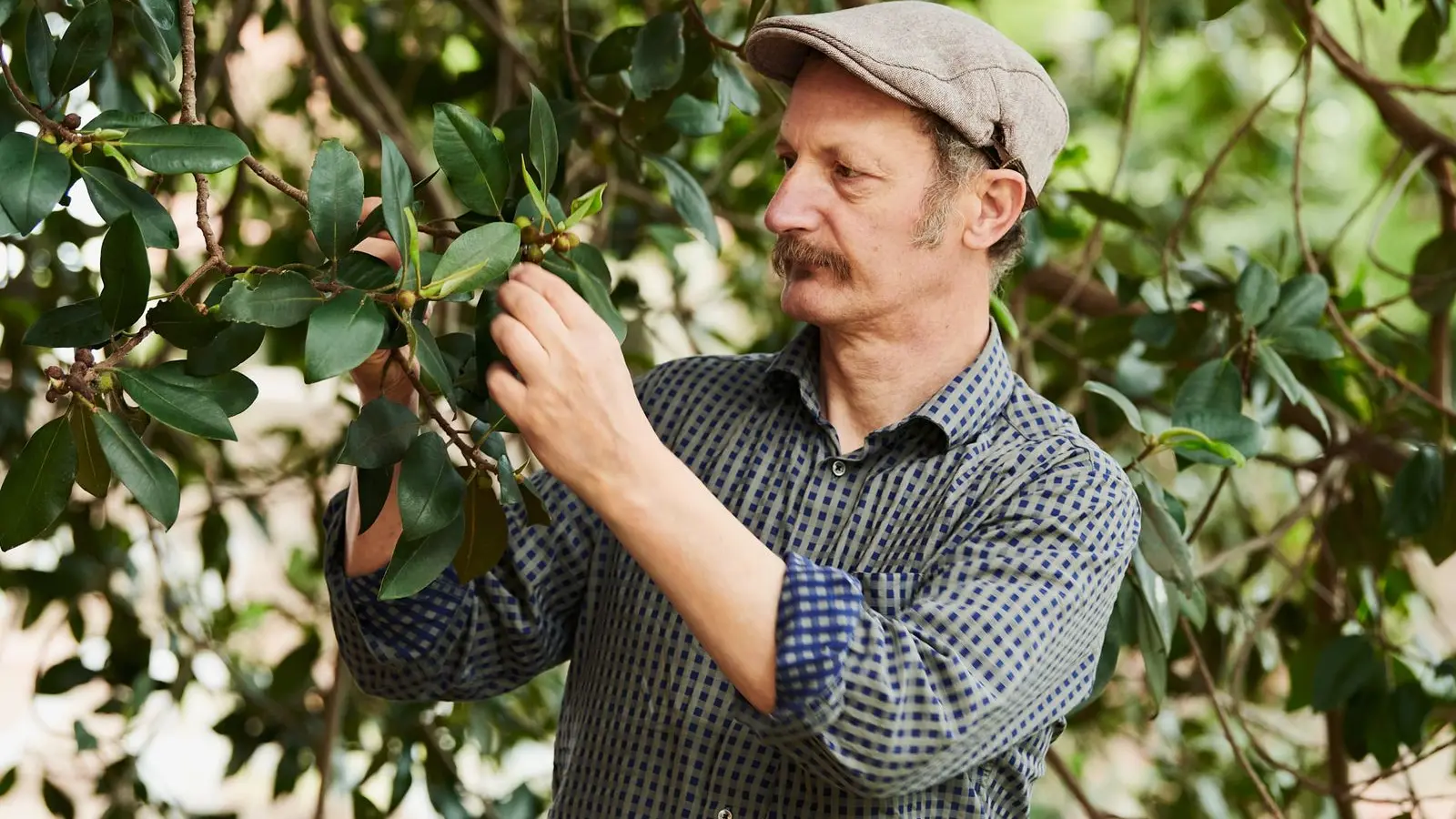 Discover nature's pantry with Diego Bonetto