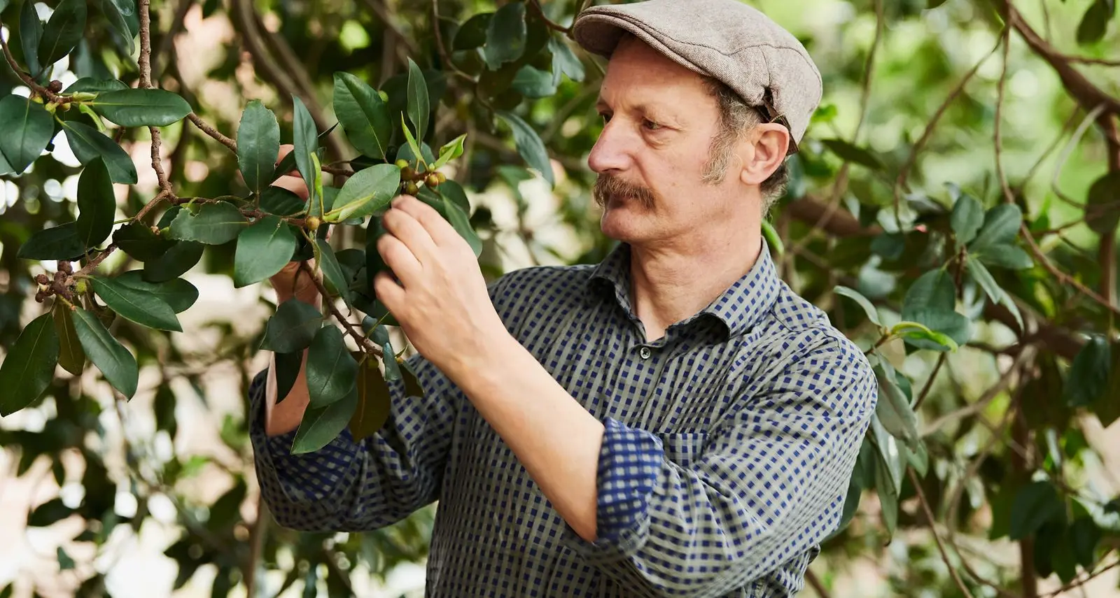 Discover nature's pantry with Diego Bonetto