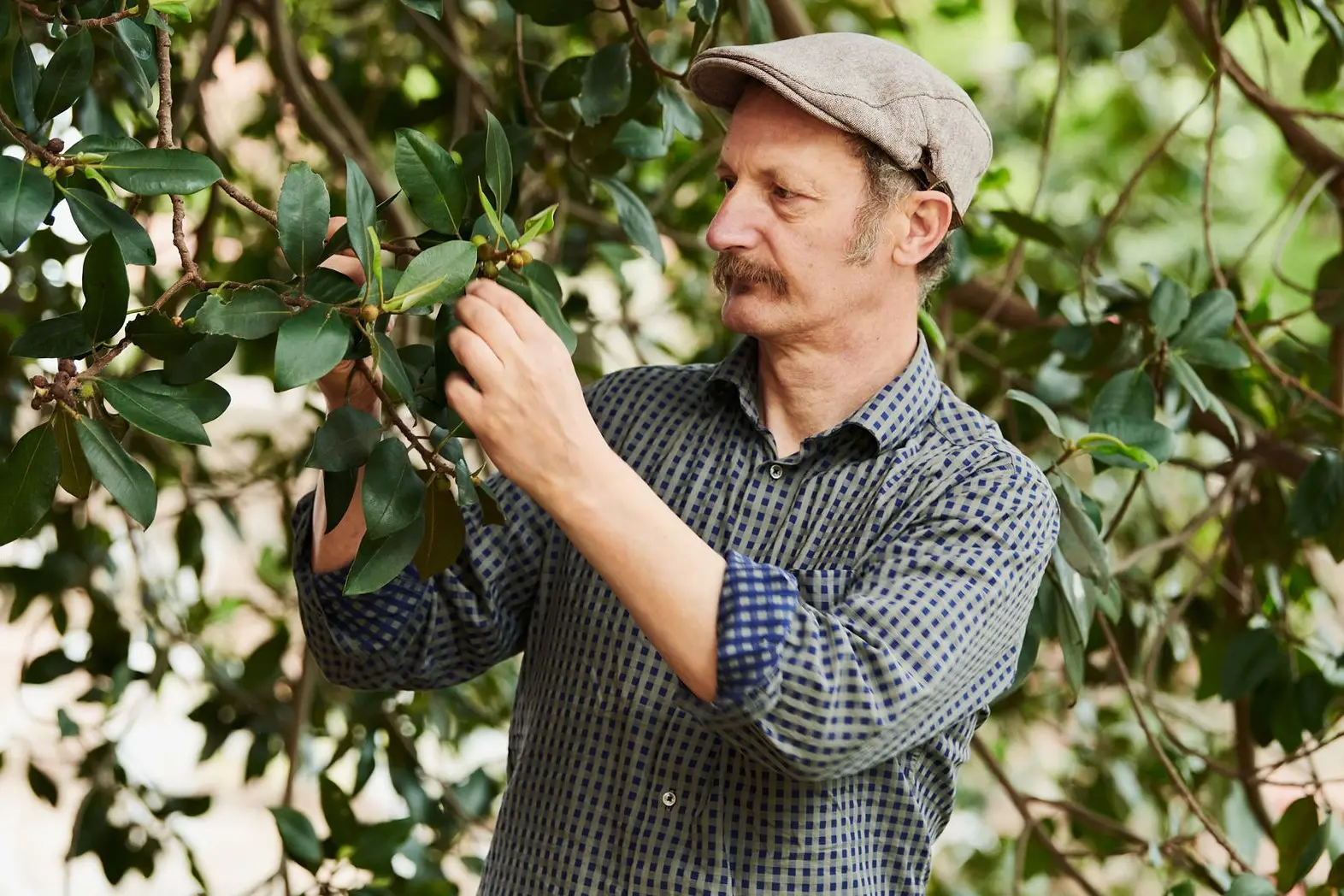 <p>Diego Bonetto, an author, artist and advocate for edible weeds, is renowned for his urban foraging workshops. PHOTO: Hellene Algie</p>\\n