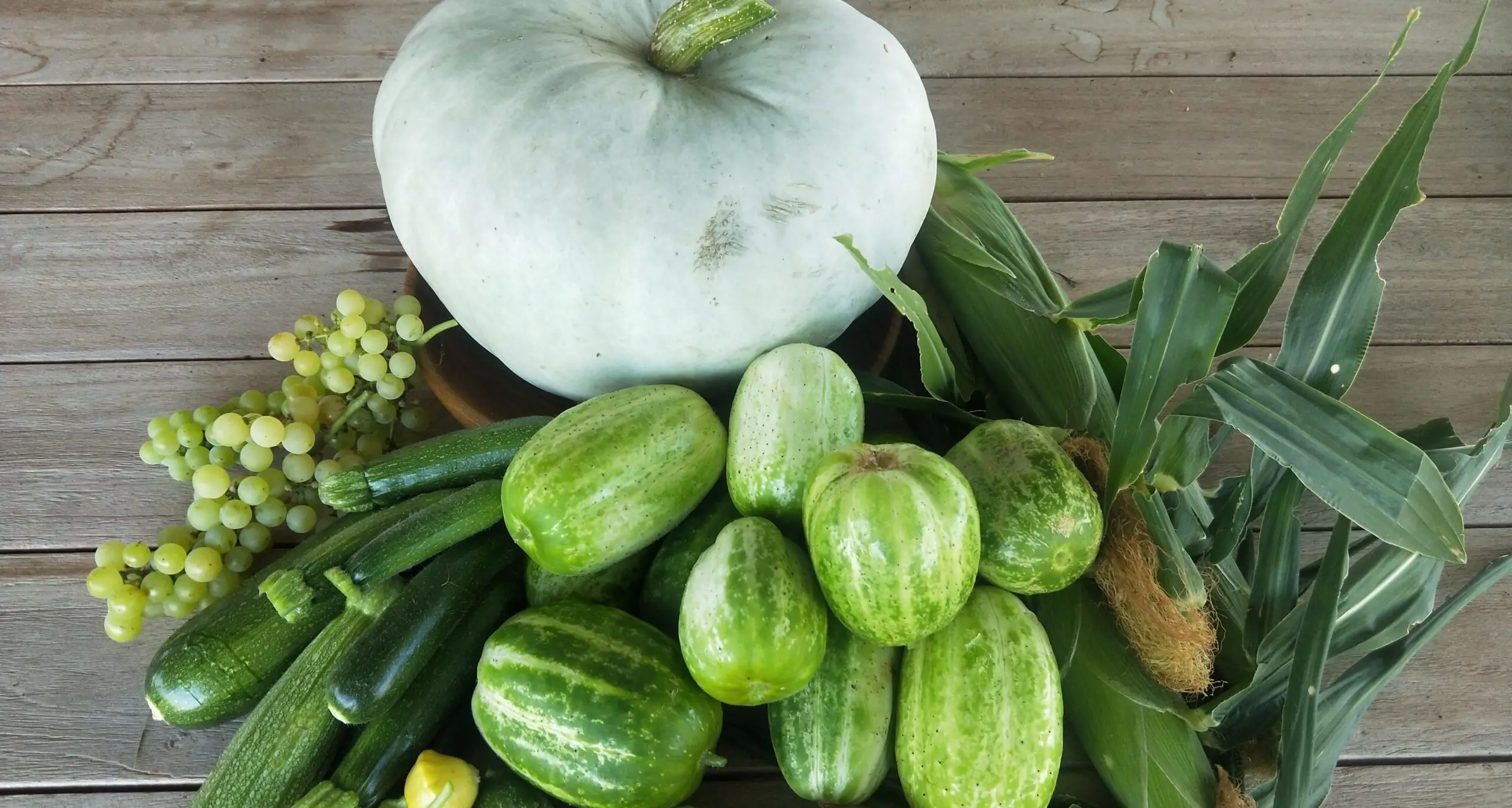 Crop Swap launches with Weddin Landcare