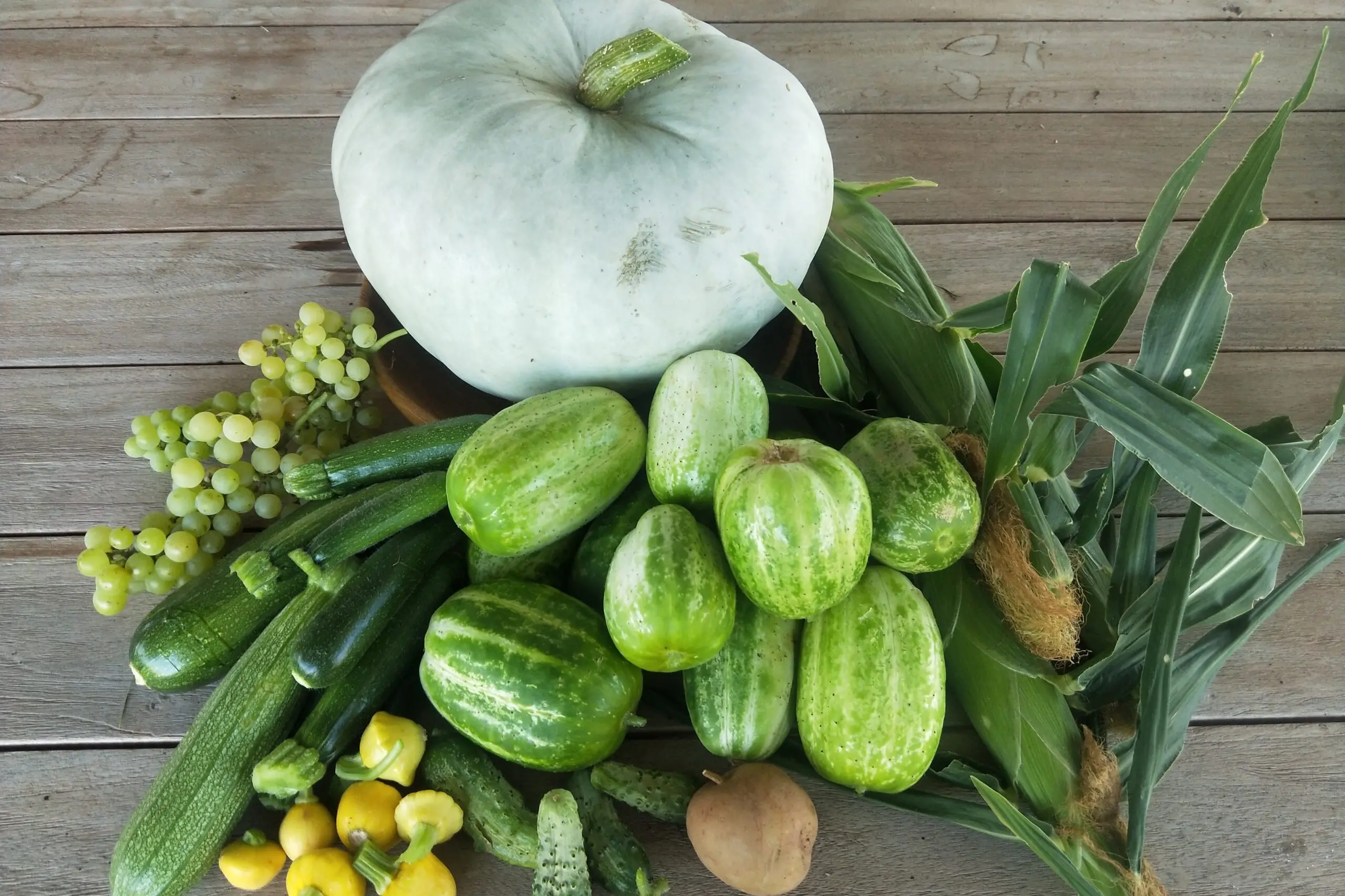 <p>Crop Swap will launch this September at Taylor Park.</p>\\n