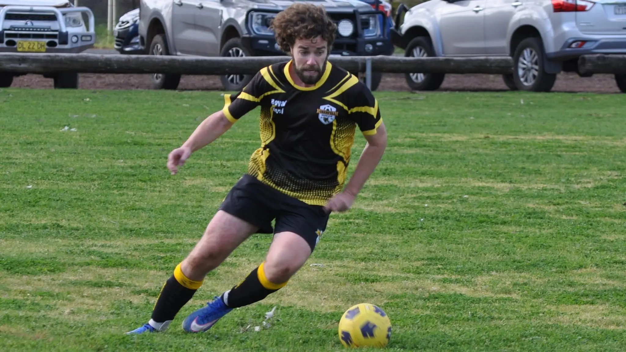 Stingers buzz into division 2 grand final