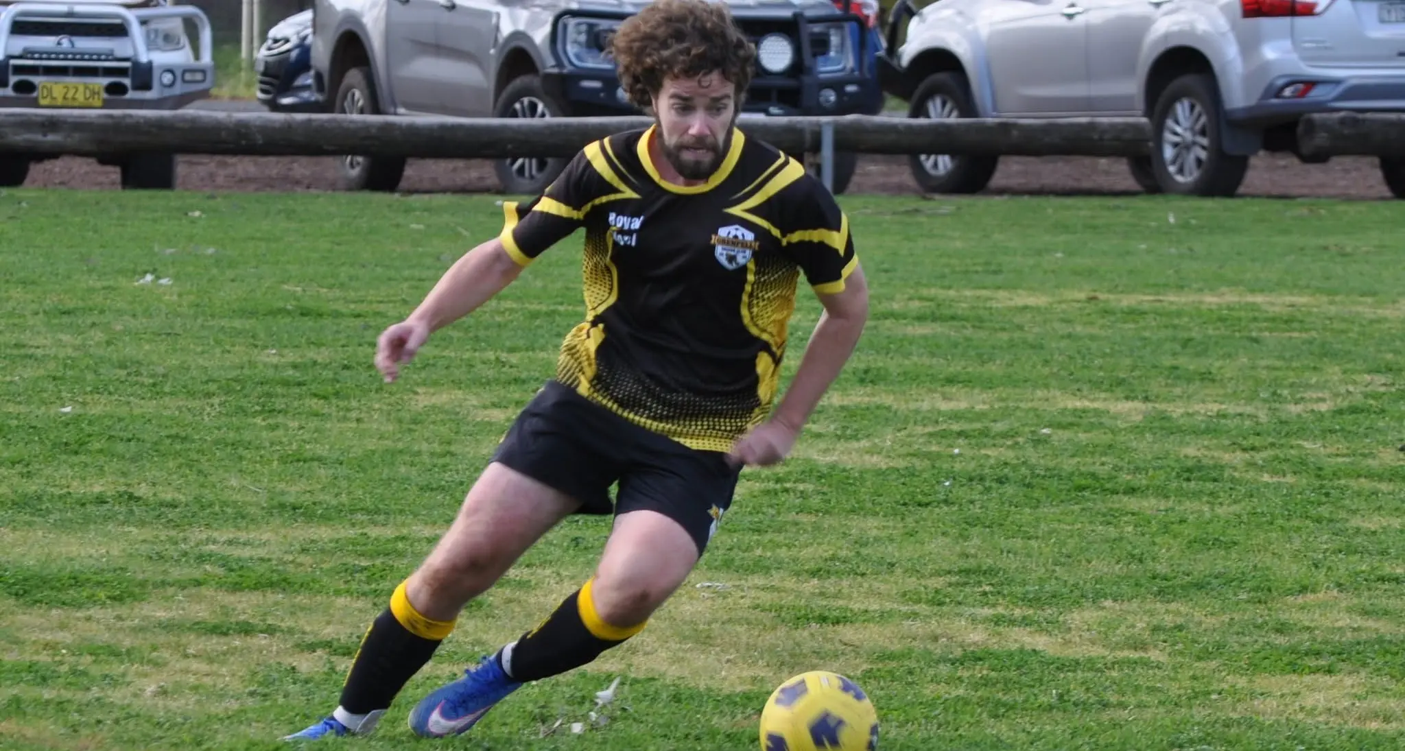 Stingers buzz into division 2 grand final