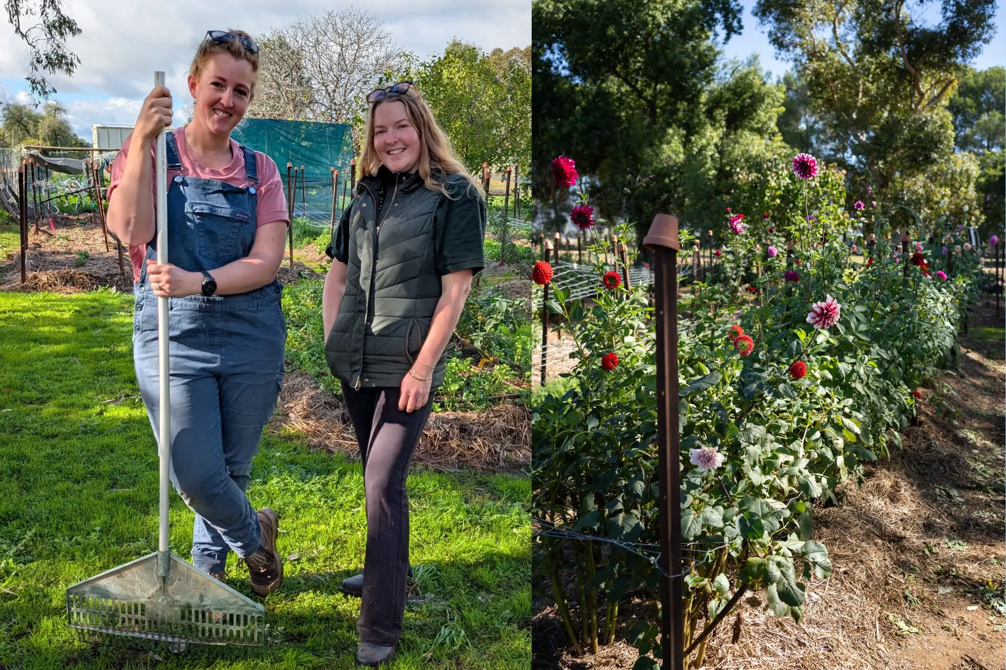 <p>Carrie Downing and Elyse McKnight of Bud to Blossoms Flower Farm have been busy over the winter months preparing for a thriving season of flowers. </p>\\n
