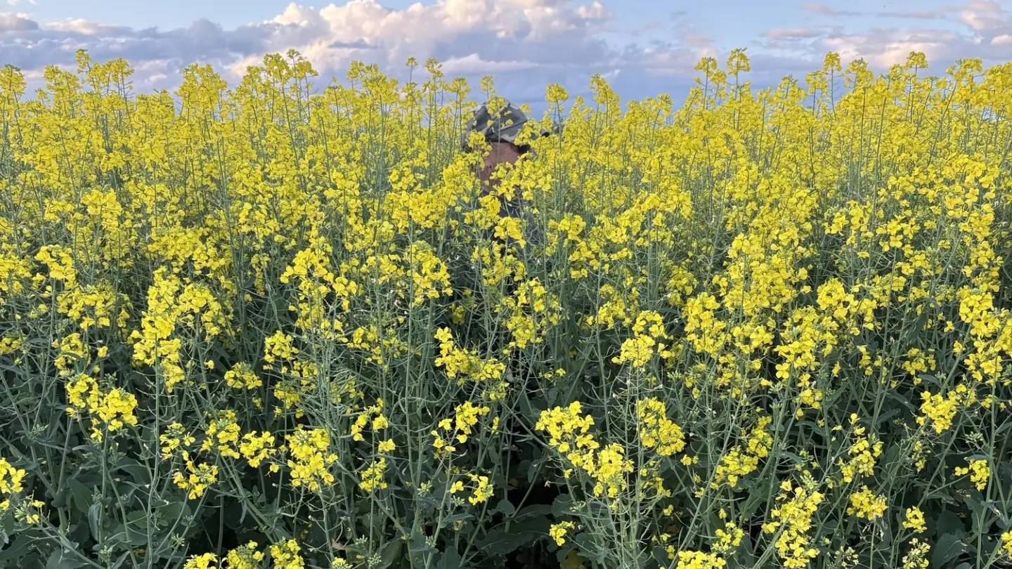 Ocean2Earth Field Day to showcase results from commercial-scale on-farm applications