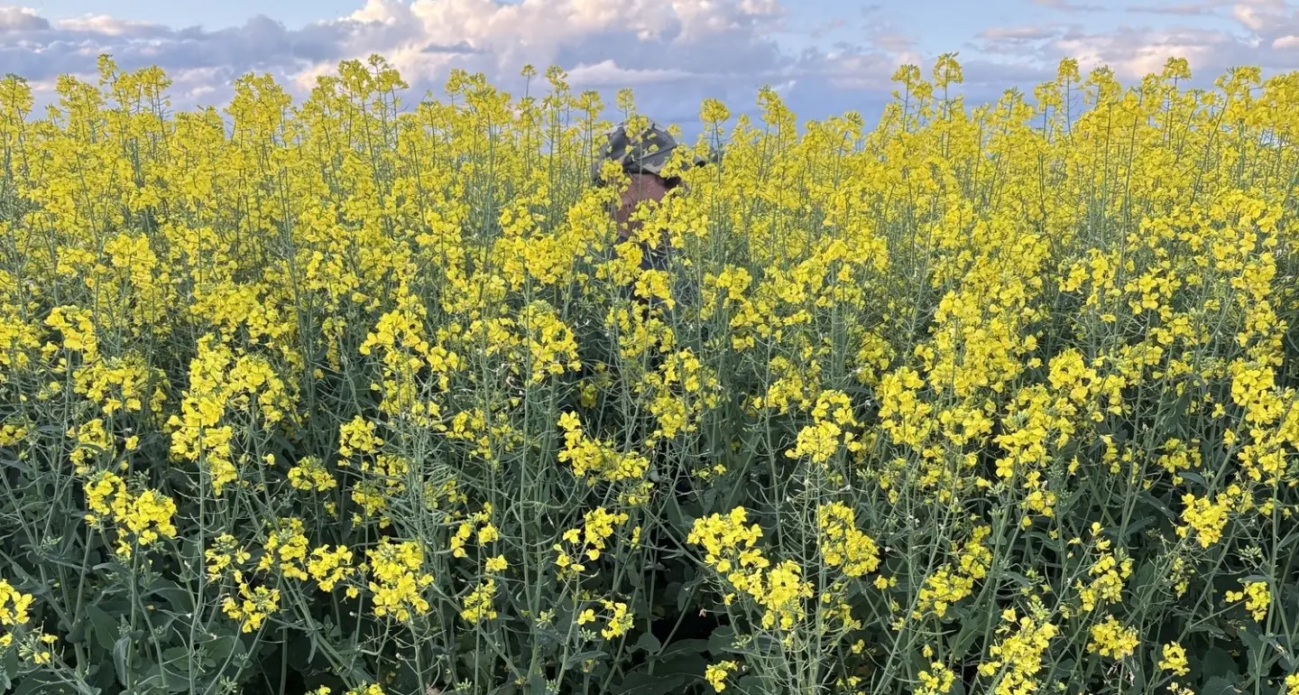 Ocean2Earth Field Day to showcase results from commercial-scale on-farm applications